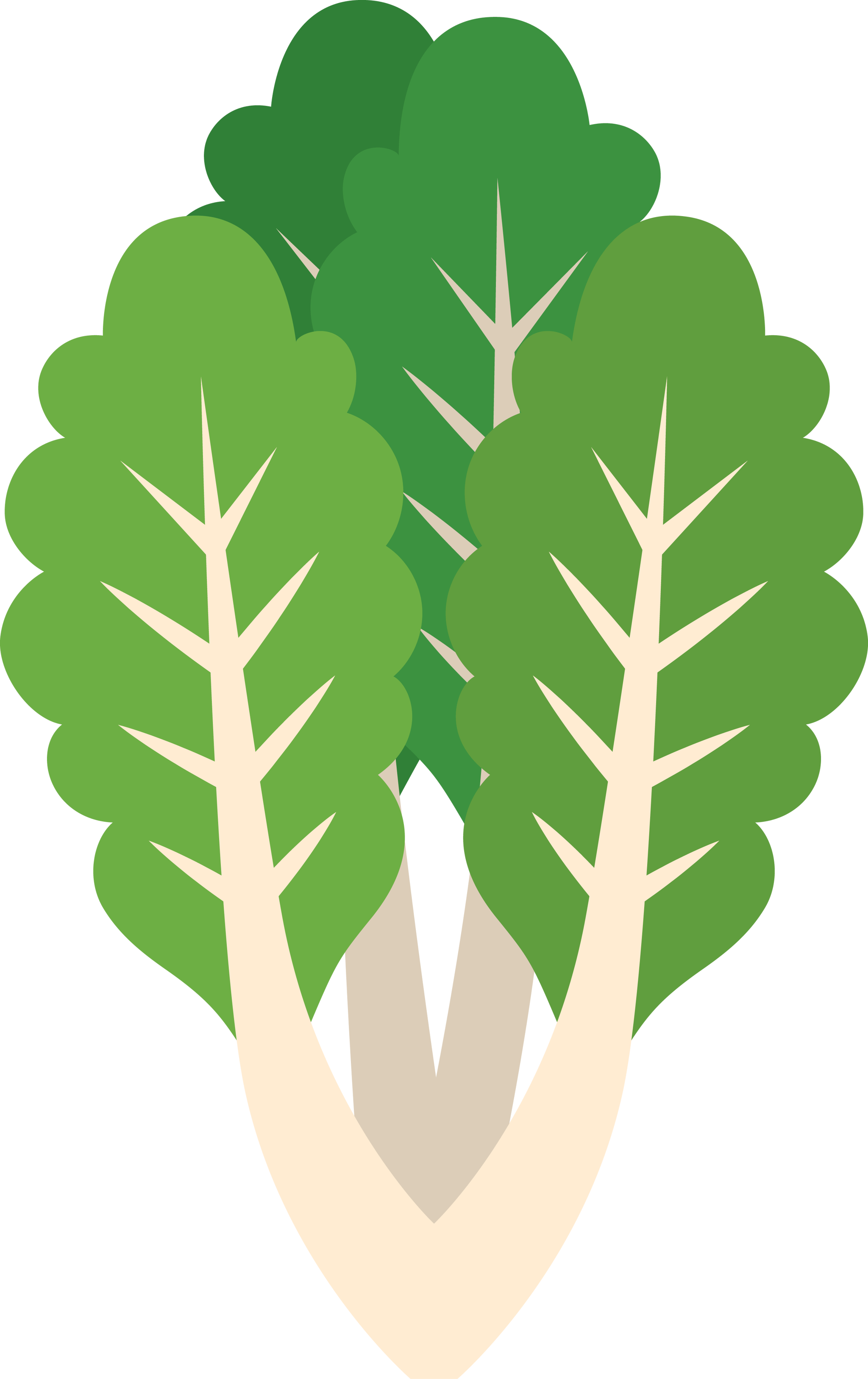 Lettuce Leafs