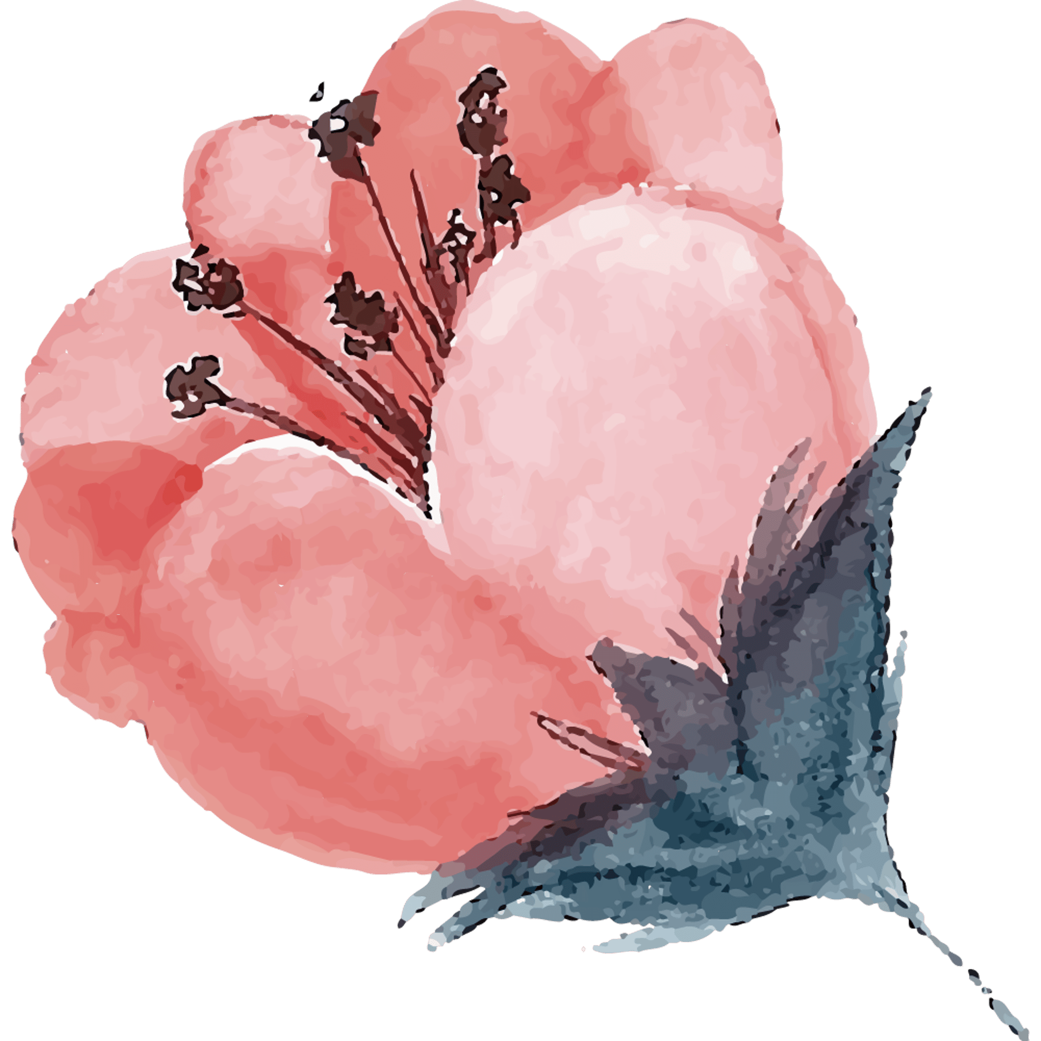 Pink Flower Top