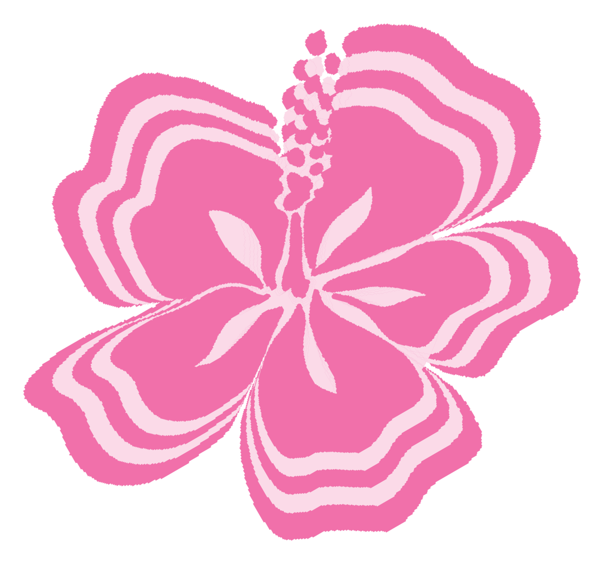 Graphic Pinks Flower