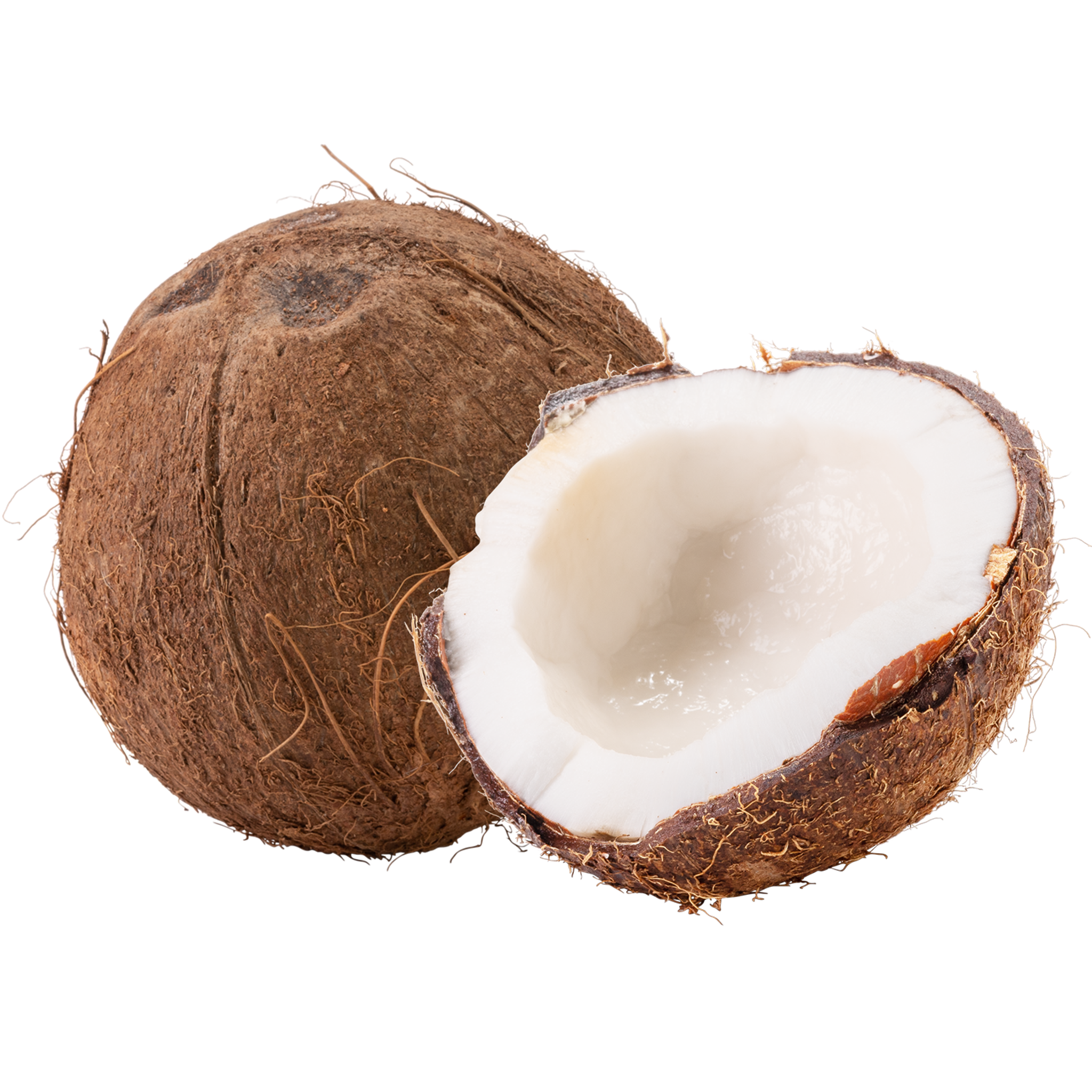 Coconut Whole and Opened