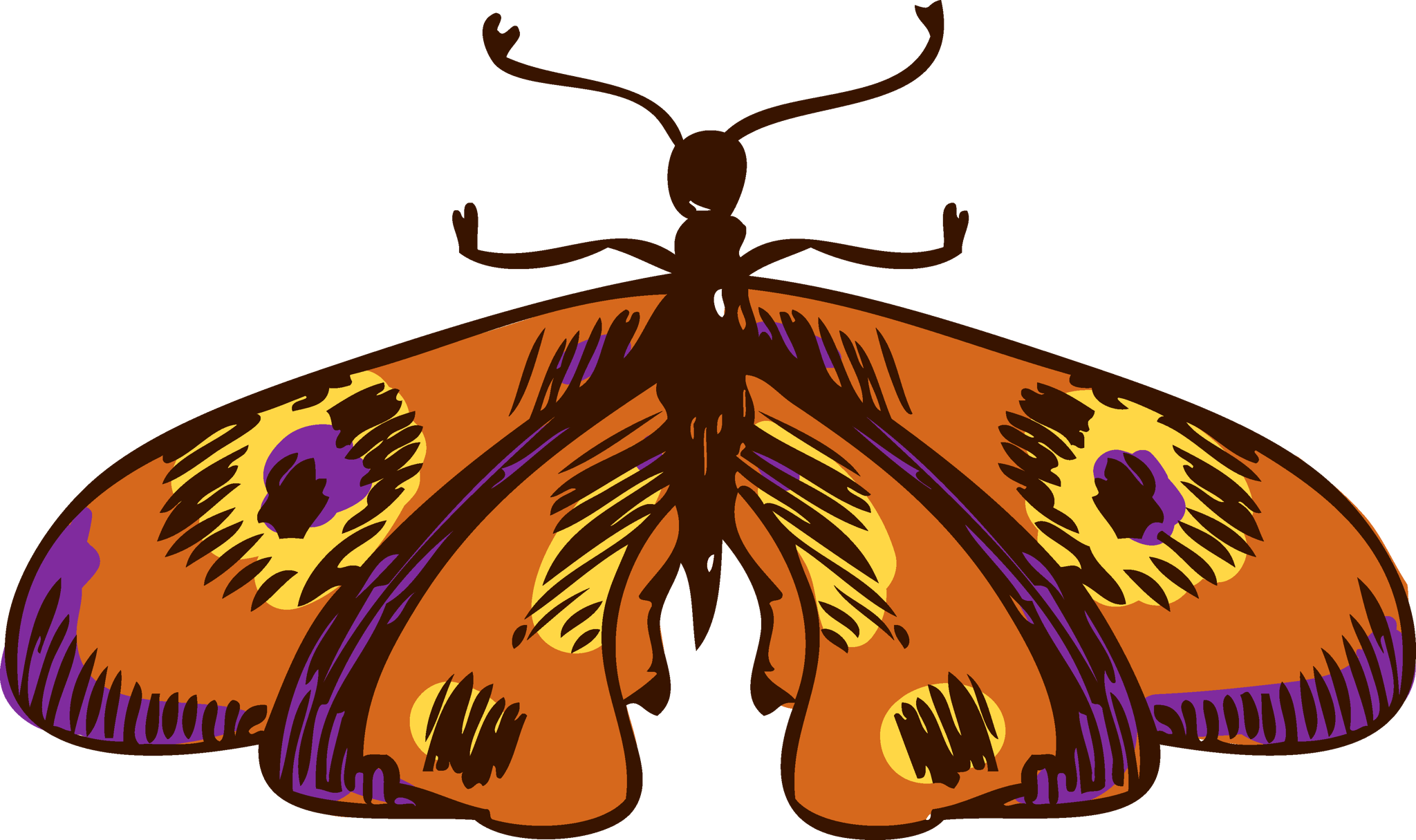 Butterfly Sketch