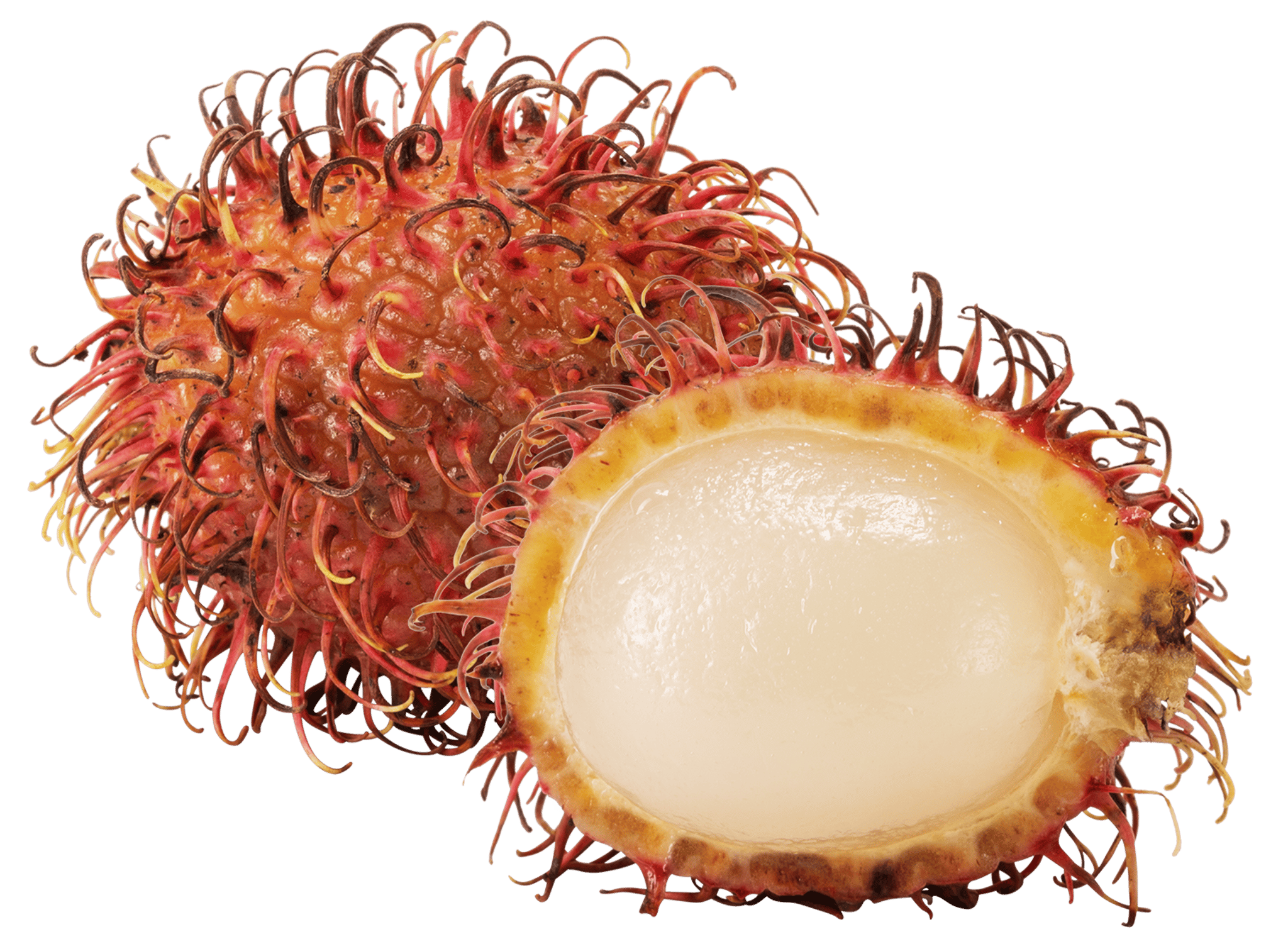 Rambutan Grouping