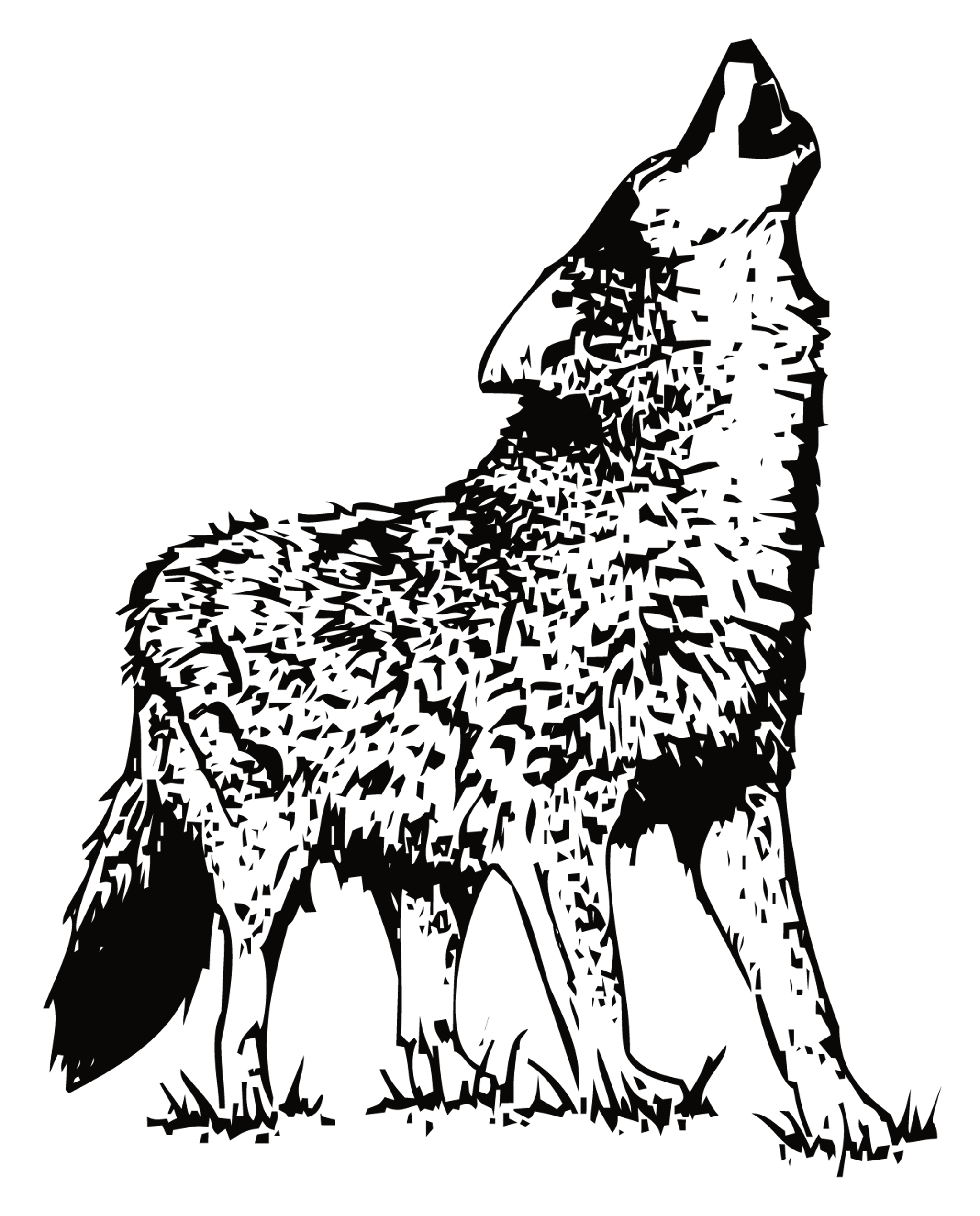 Wolf Howling