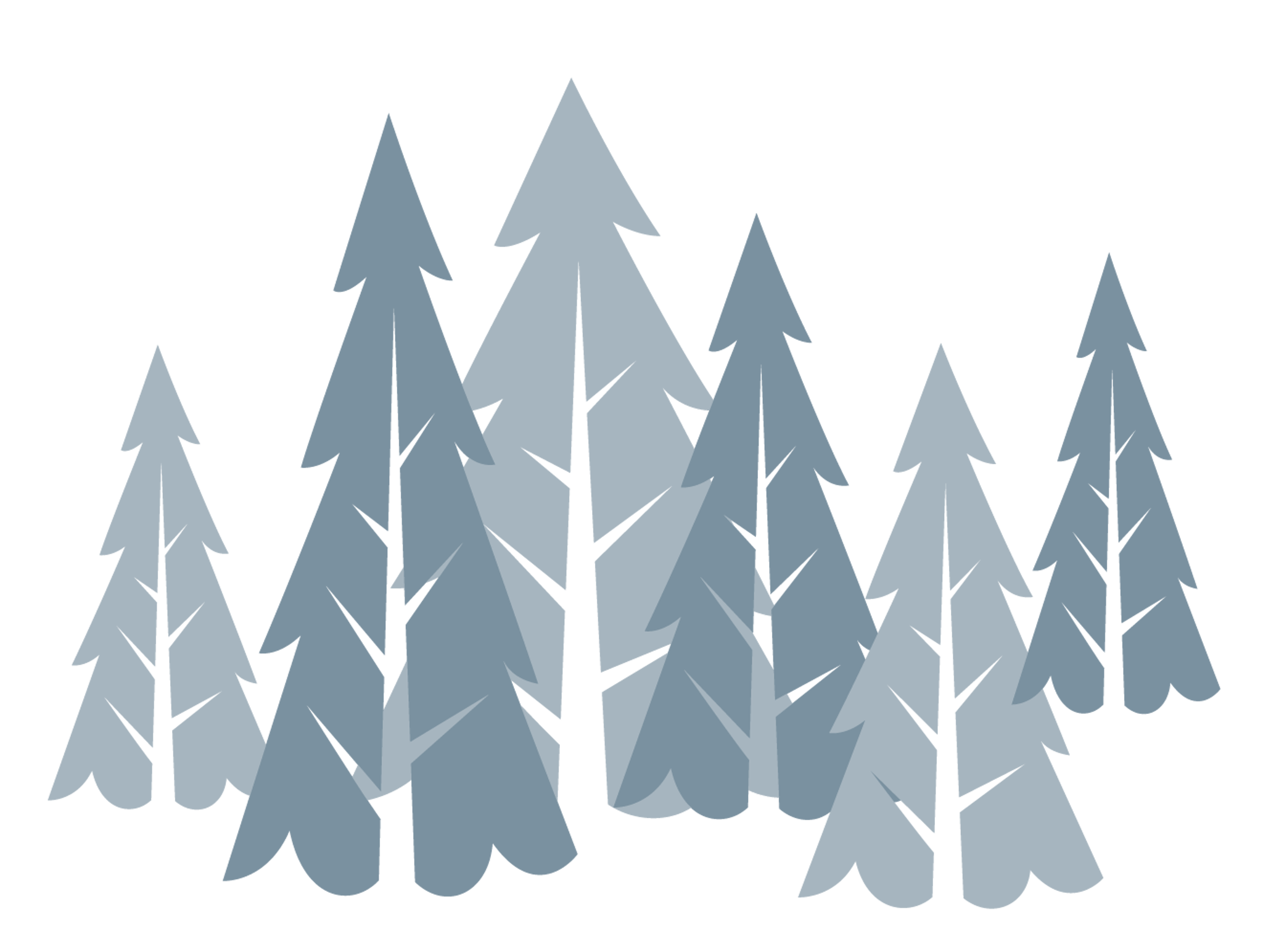 Holiday Christmas Trees
