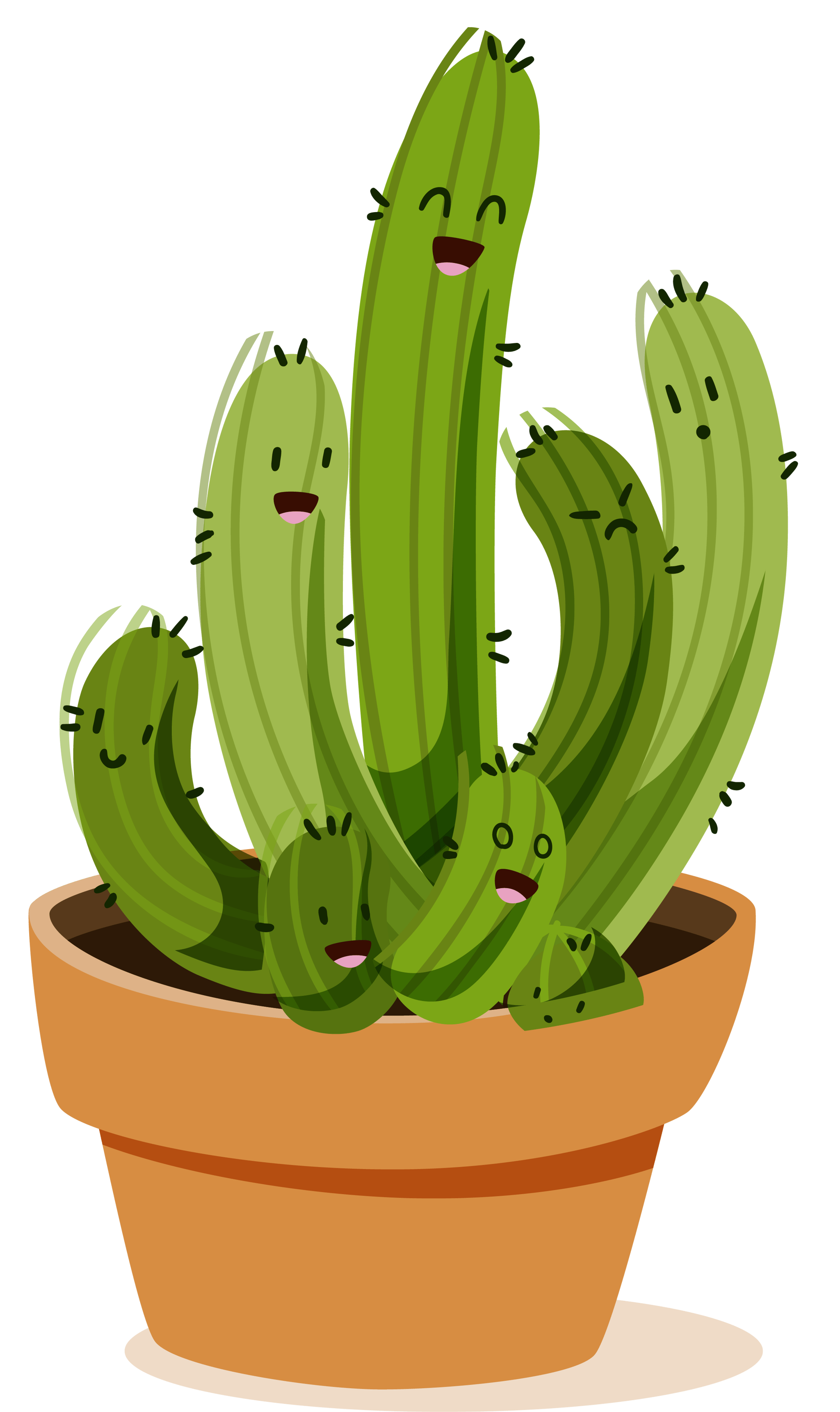 Cacti 1