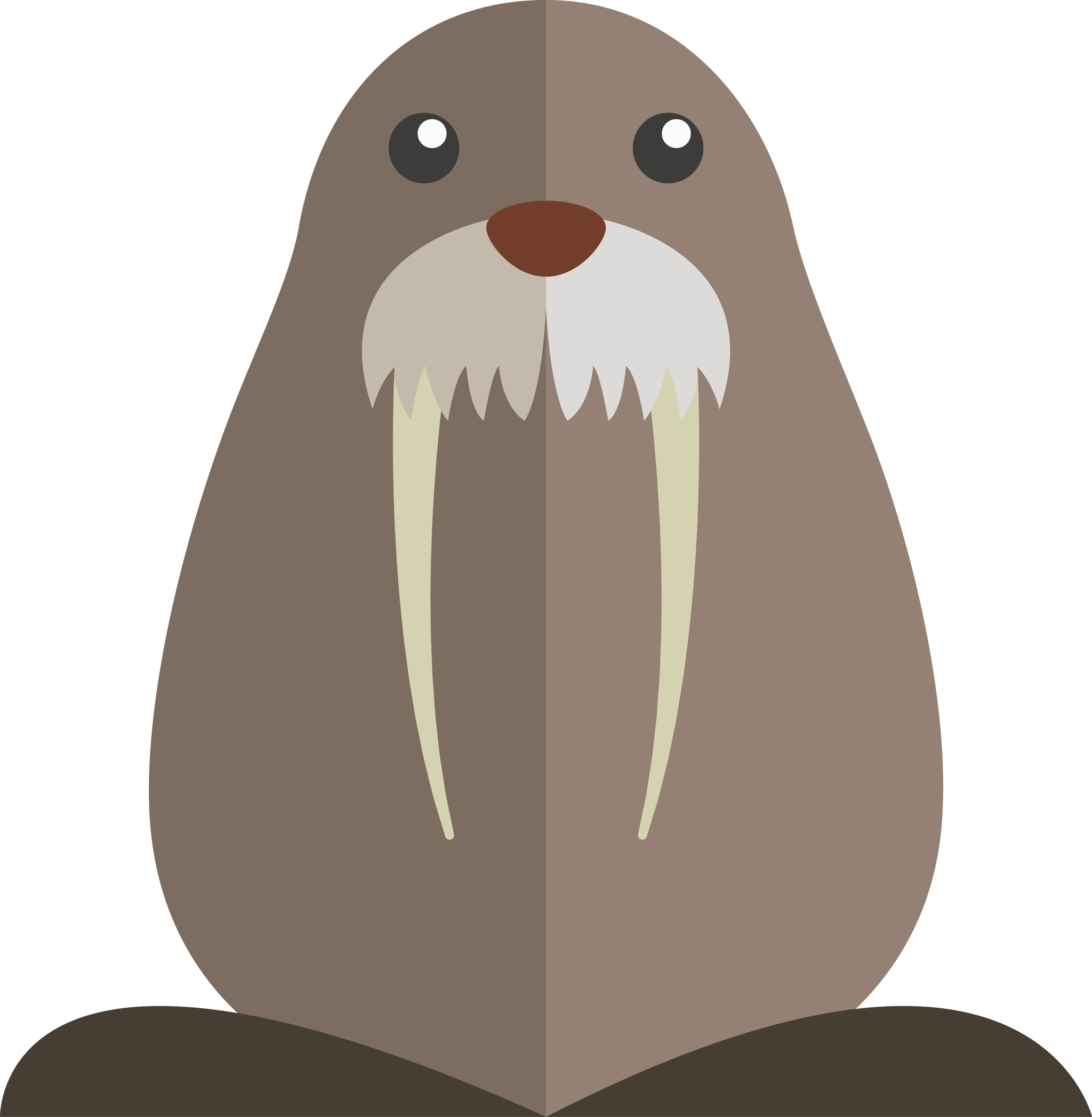 Walrus
