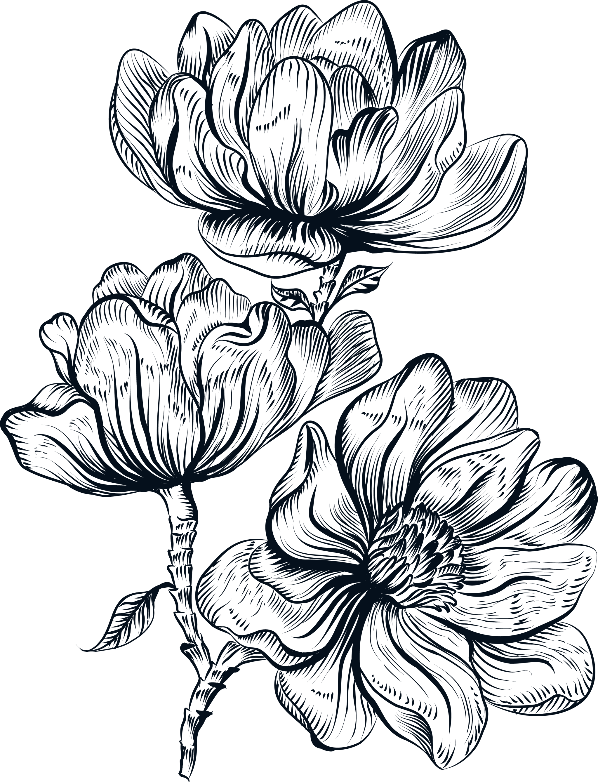 Ink Line Flower Triplets