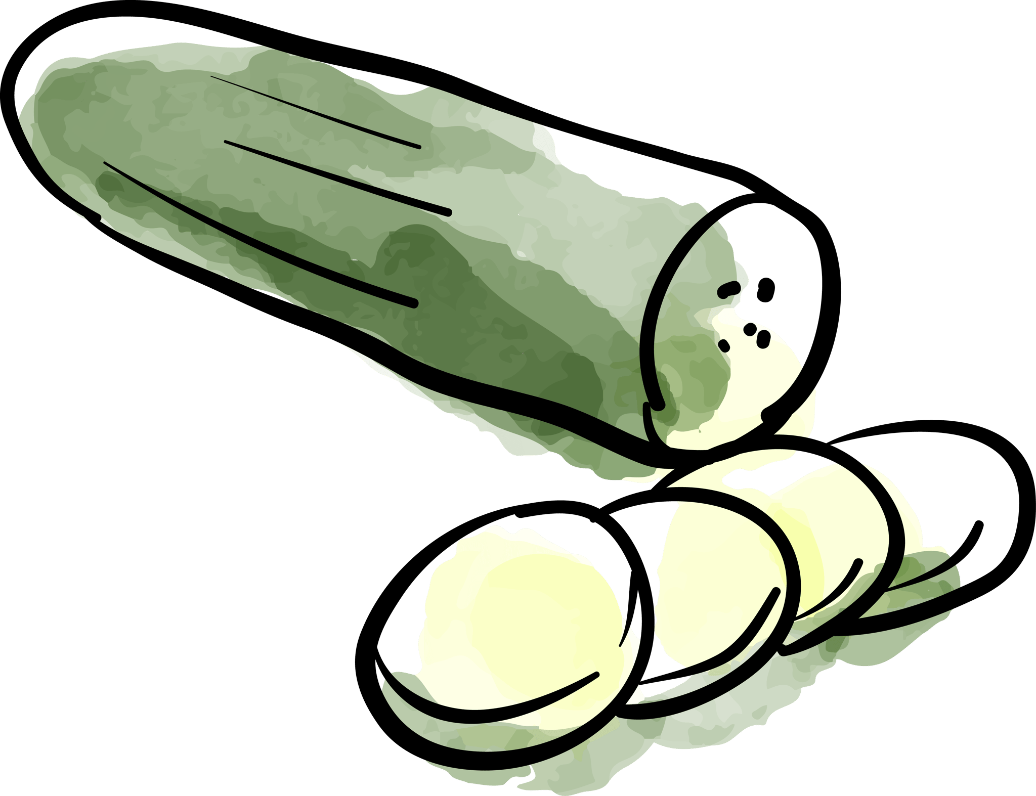 Cucumber