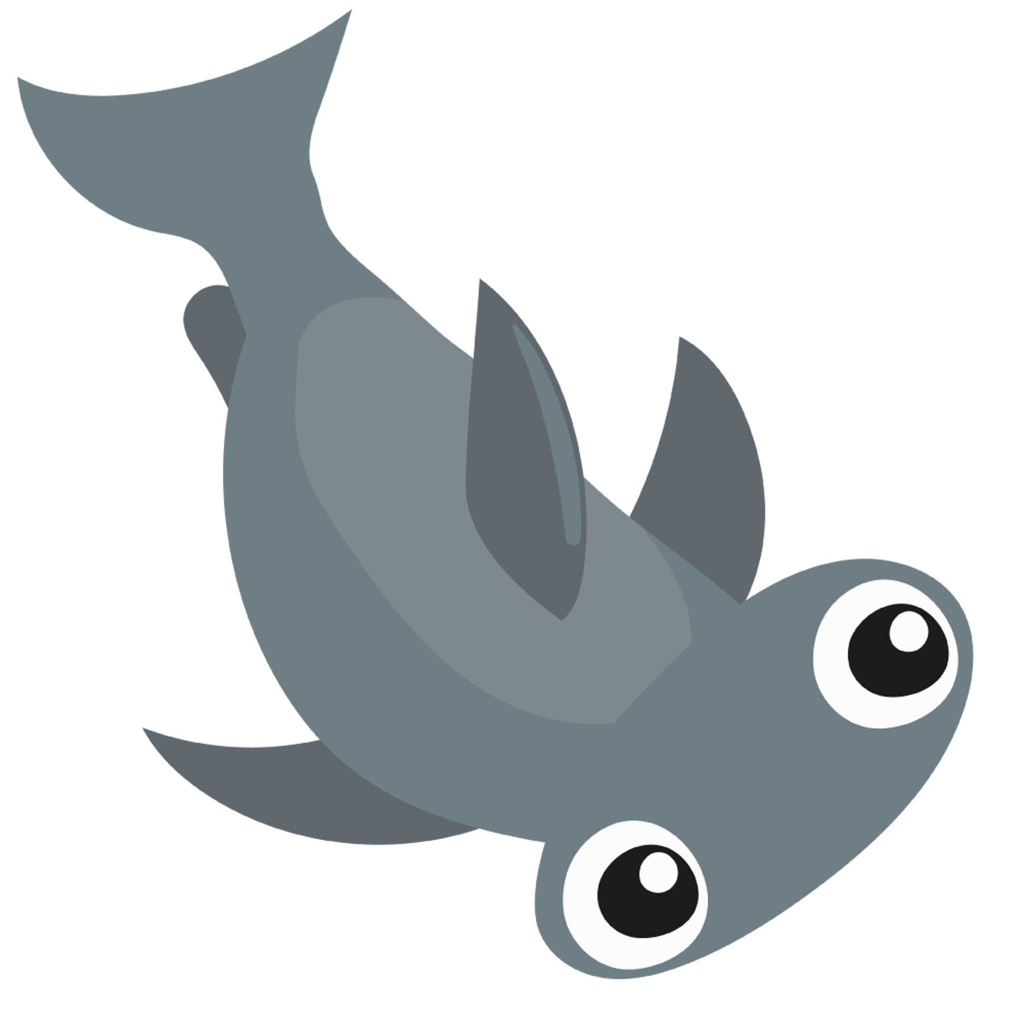 Hammer Head Shark
