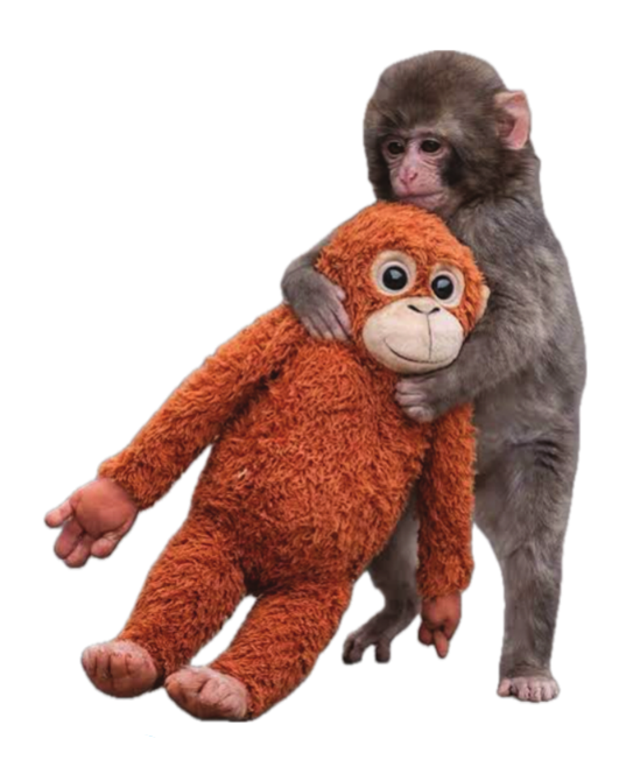 Punch Monkey 1