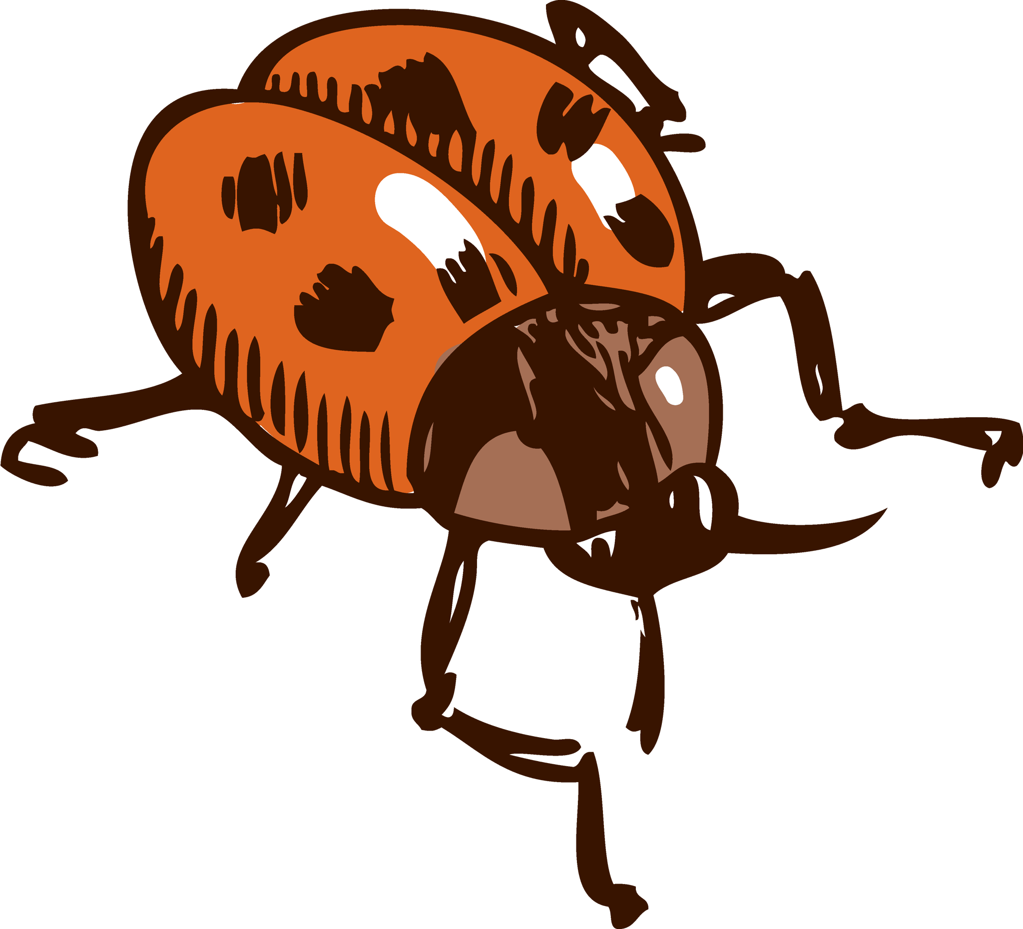 Ladybug