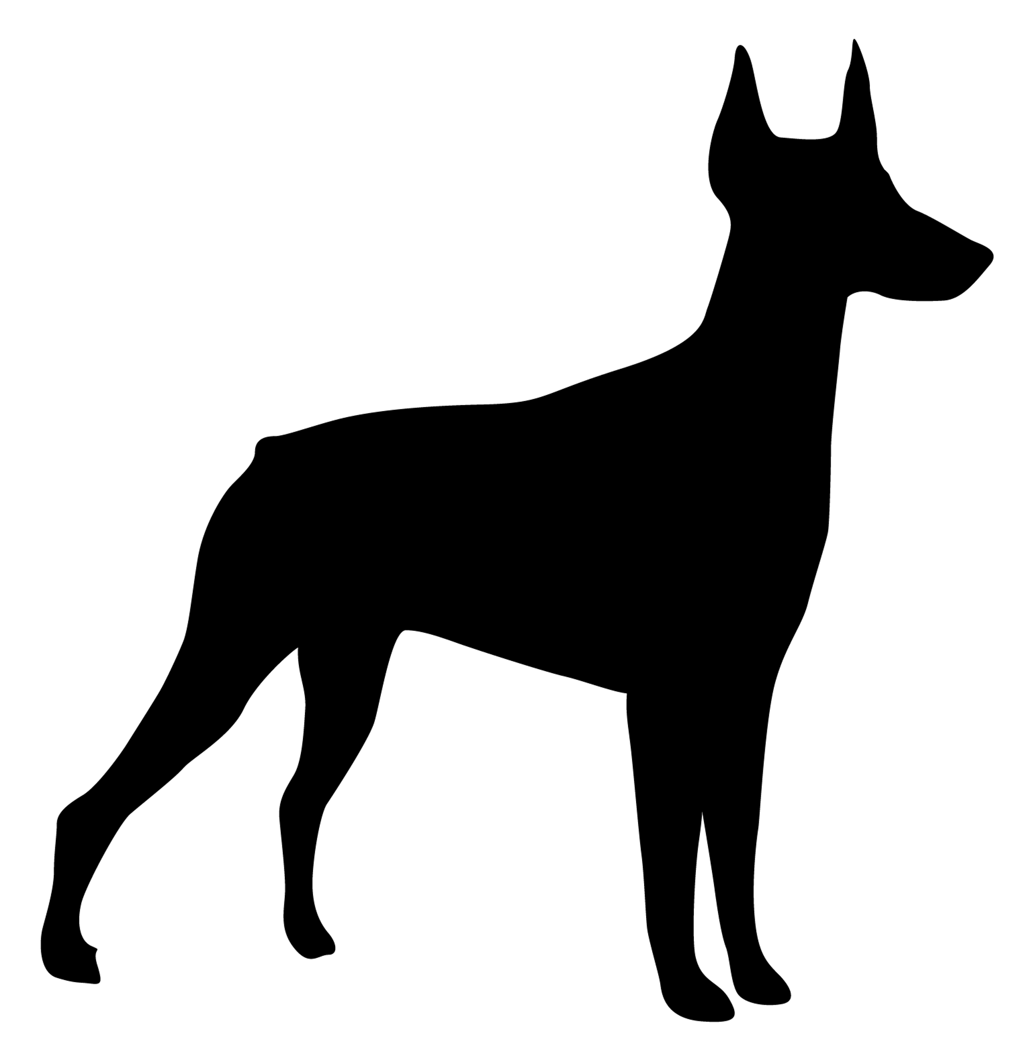 doberman