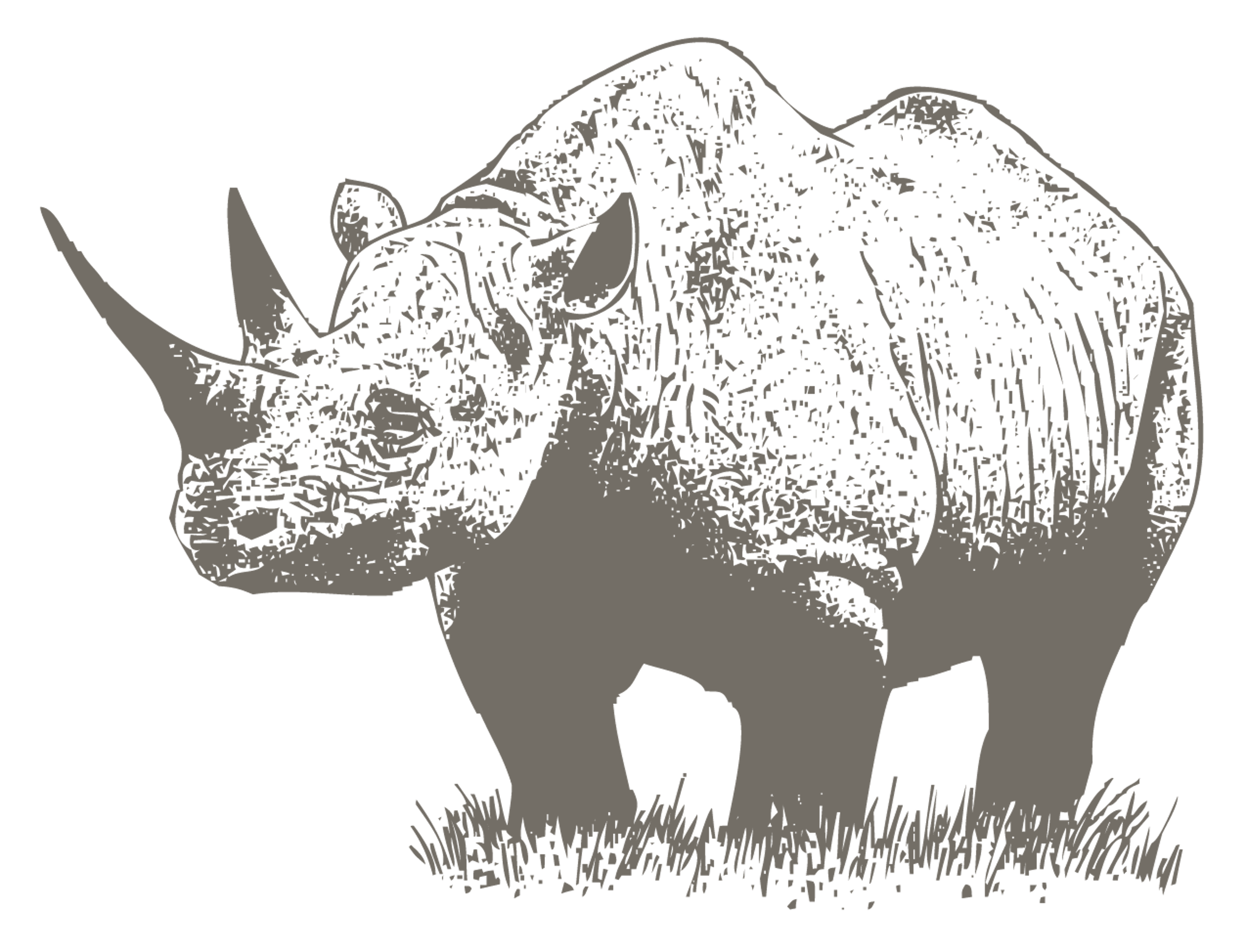 MP_Rhino
