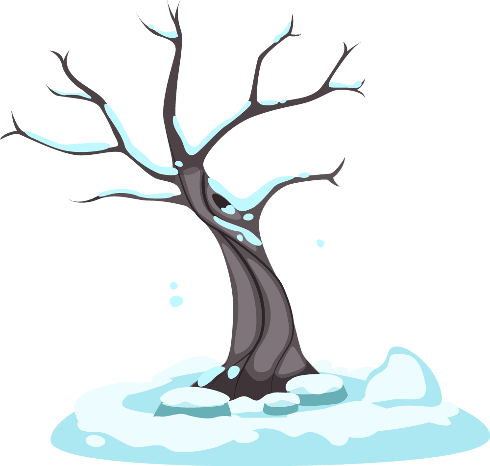 Winter Tree