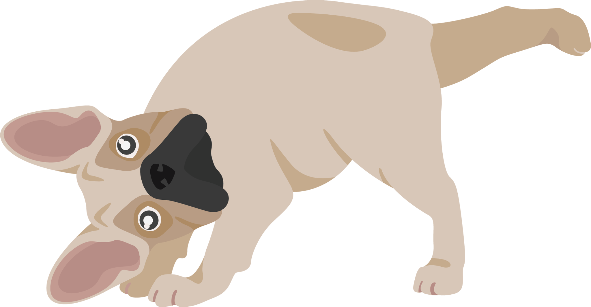 Downward Dog Single