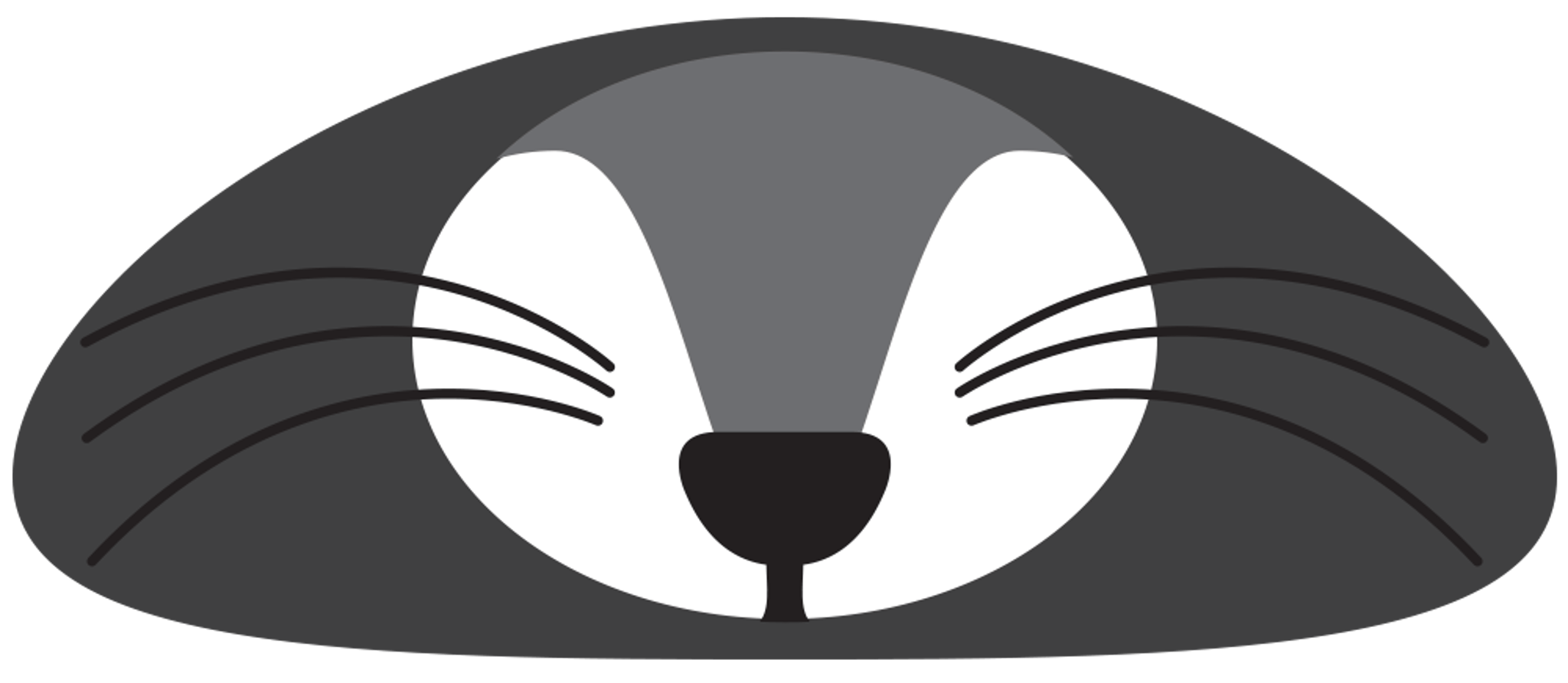 Racoon Face