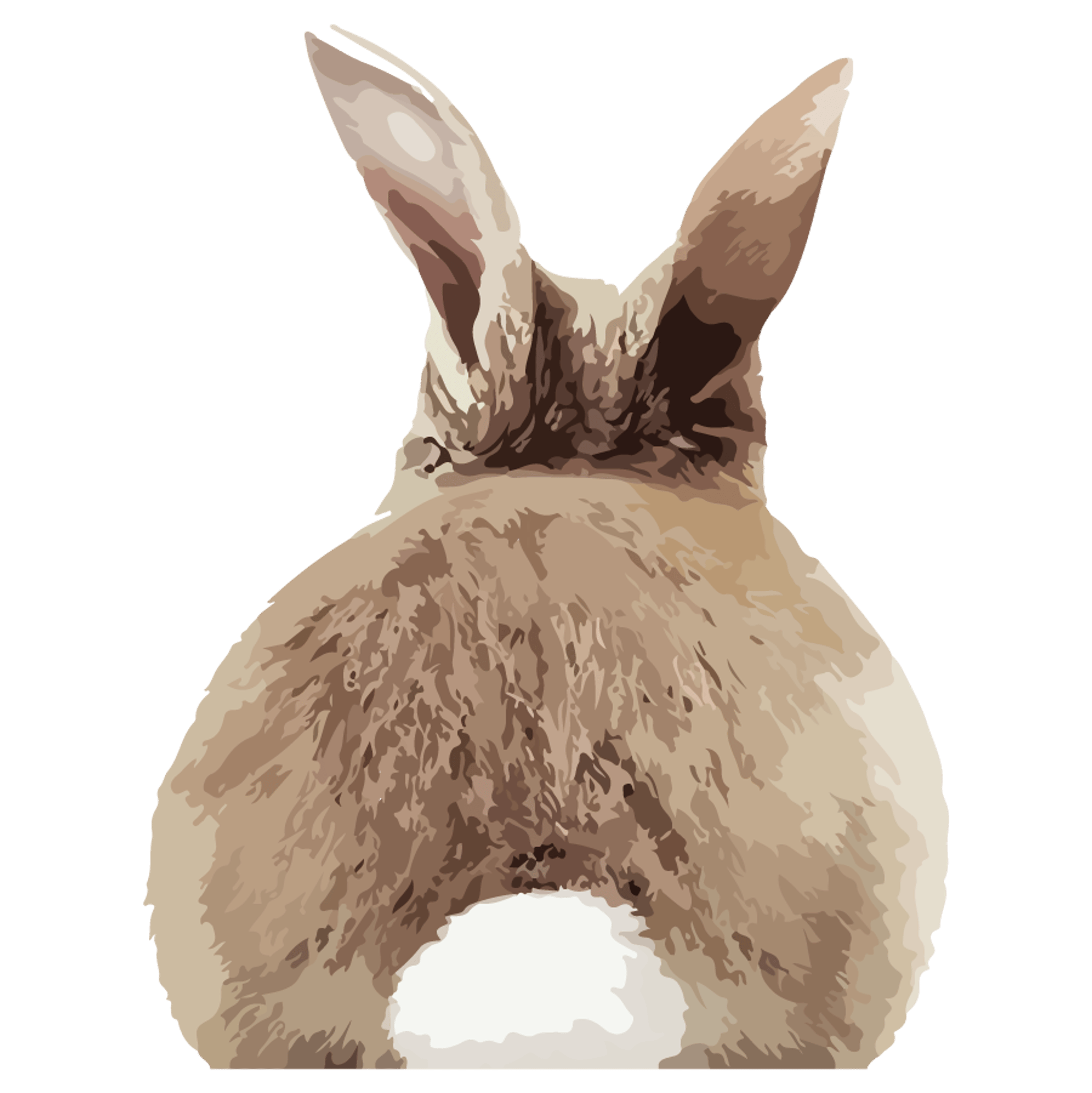Vanilla Girl Bunny