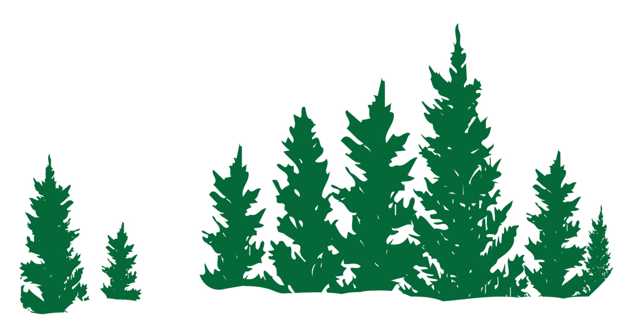 Evergreens