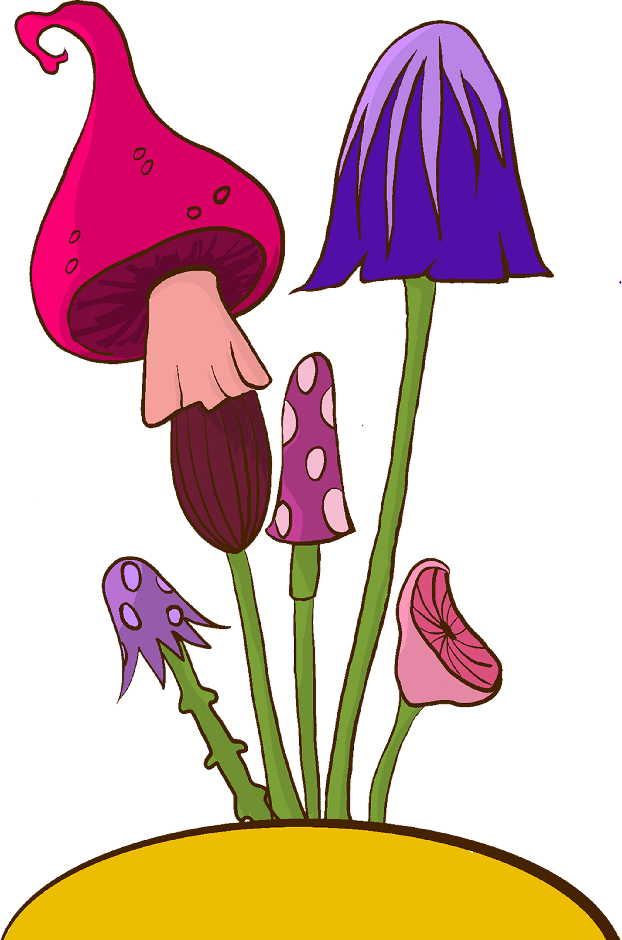 Mushroom Bouquet