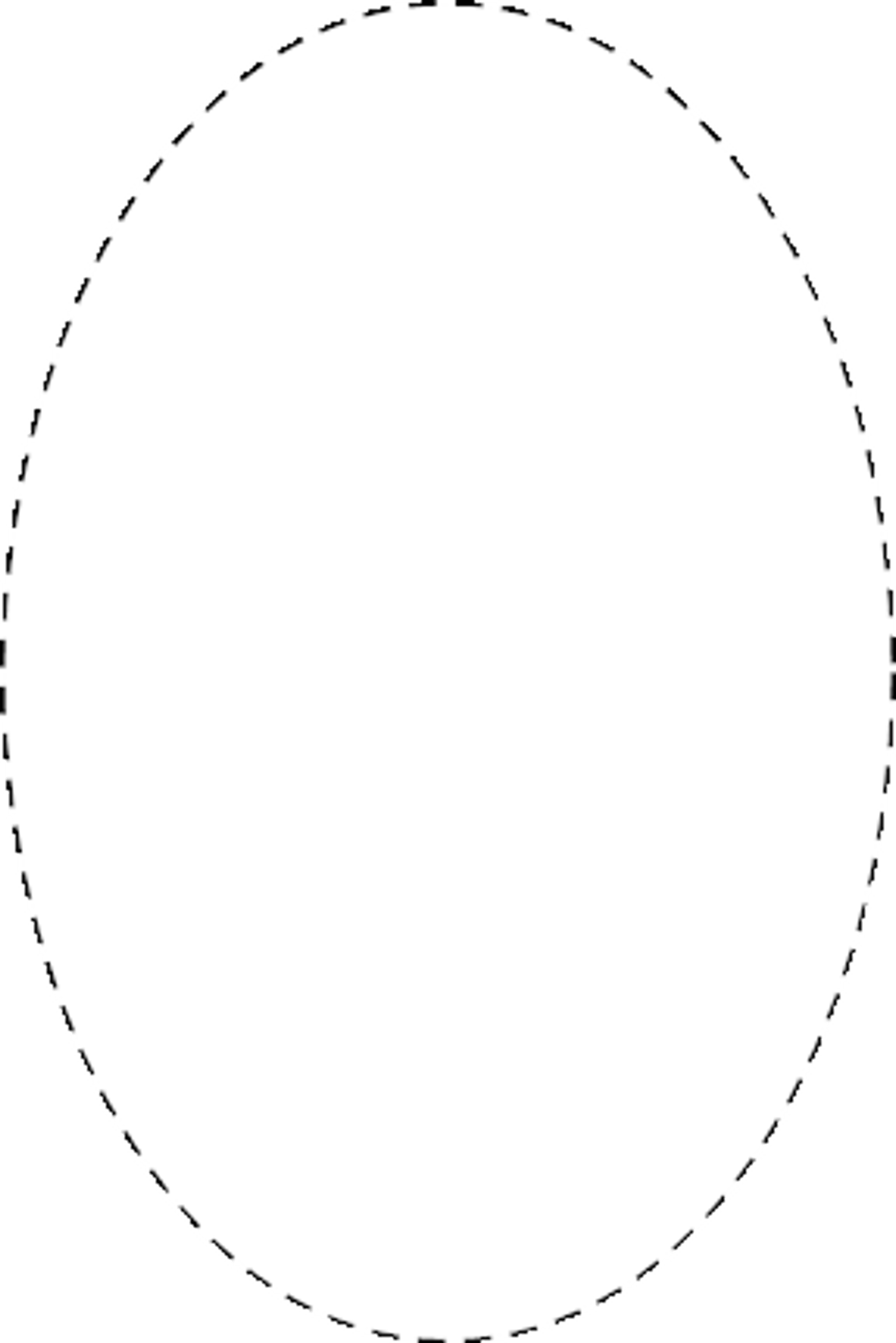 Oval Label 2x3