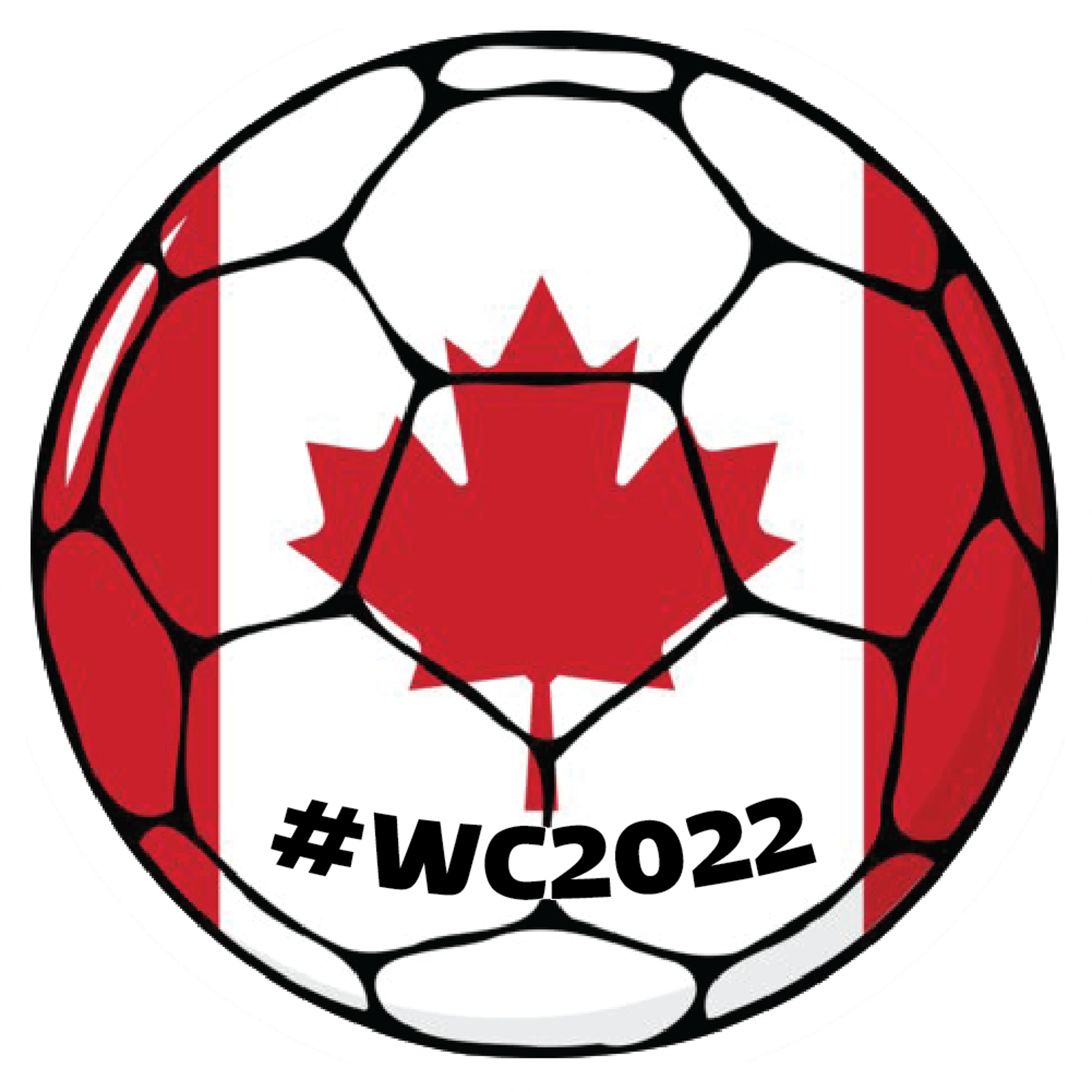 WC Soccer Ball