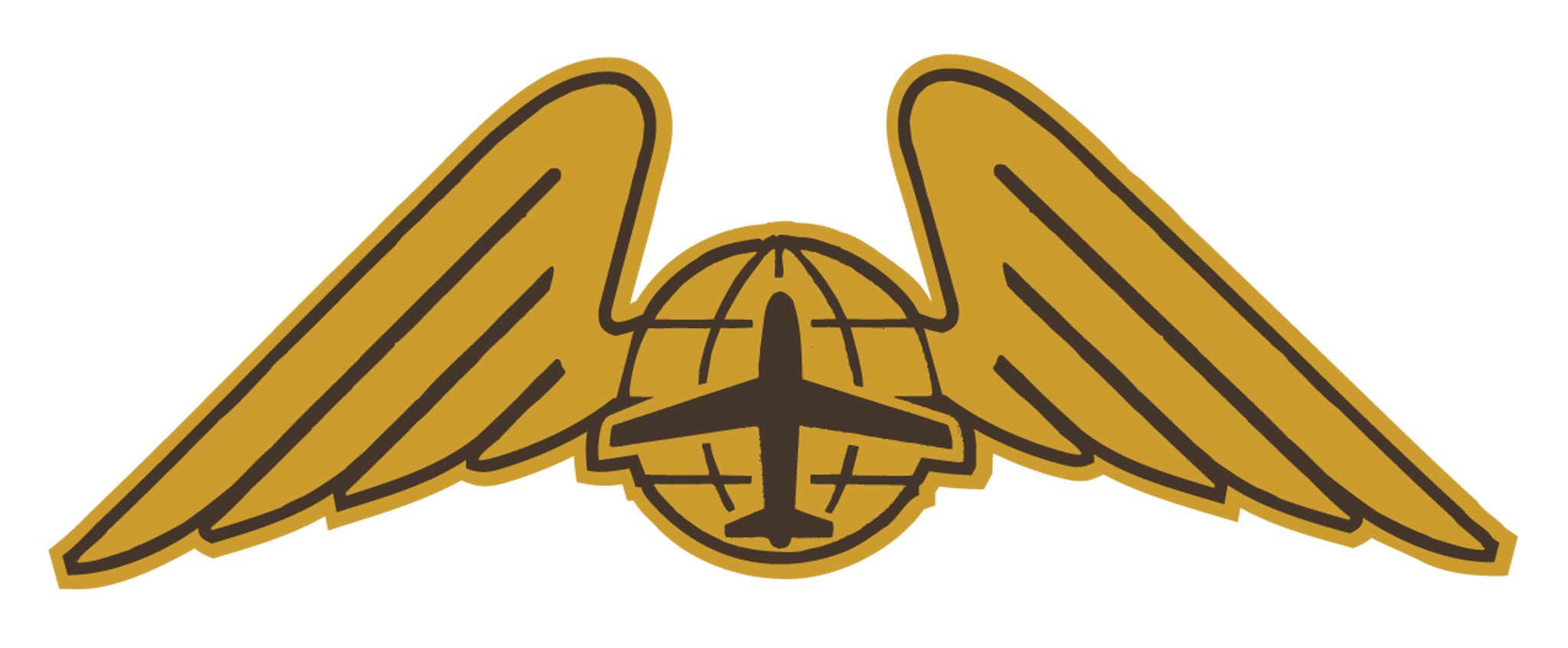Air Plane Angel Wings