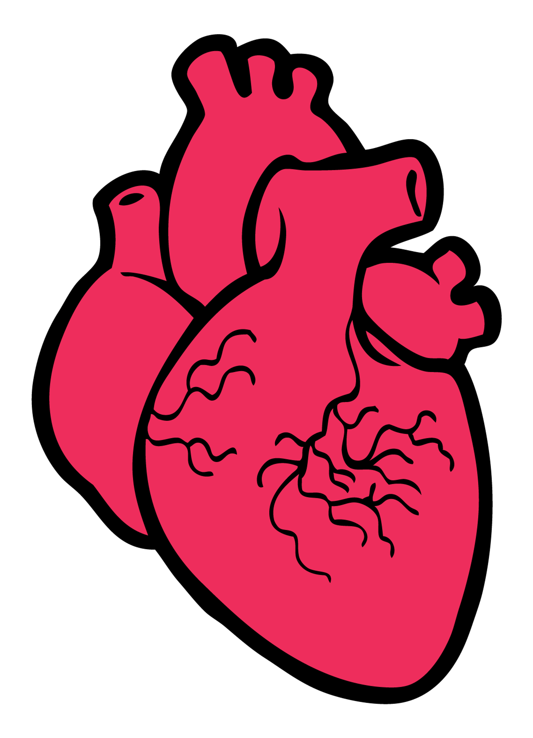 Realistic Heart
