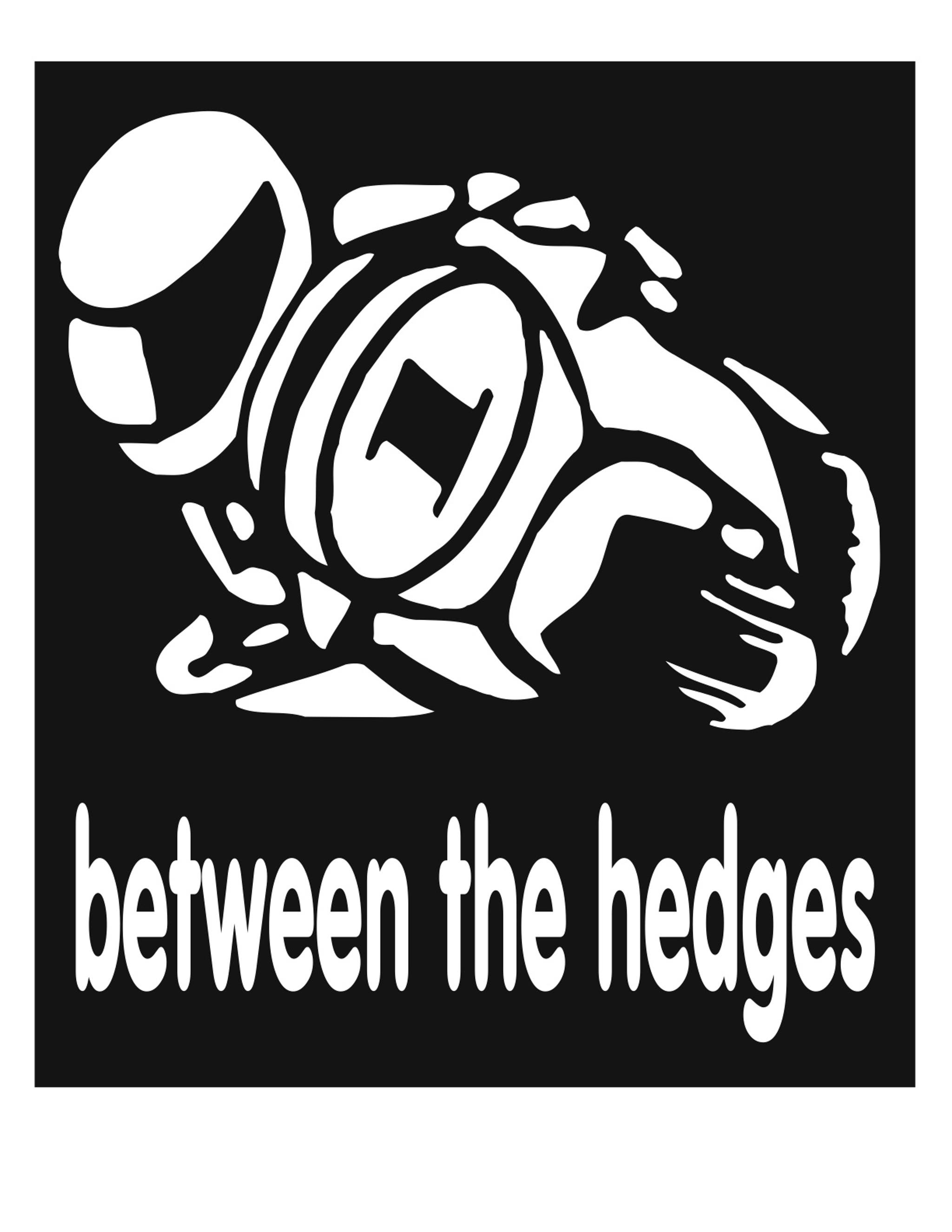 BETWEEN THE HEDGES.jpg