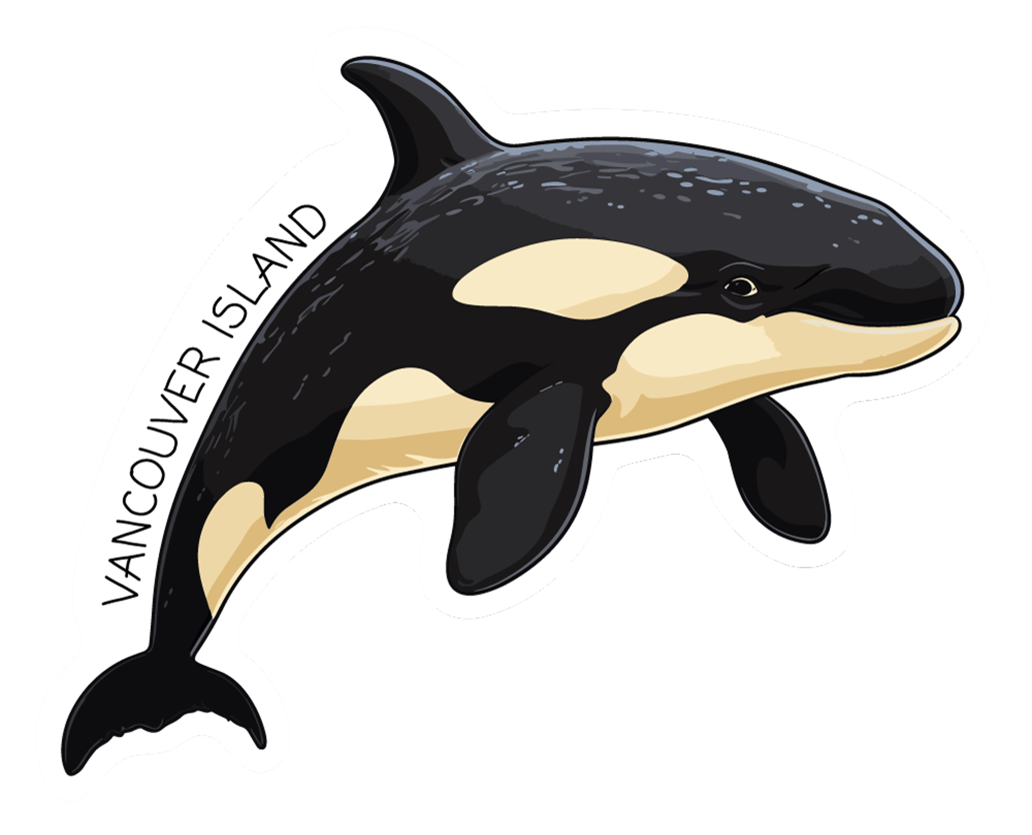 Vancouver Island Orca