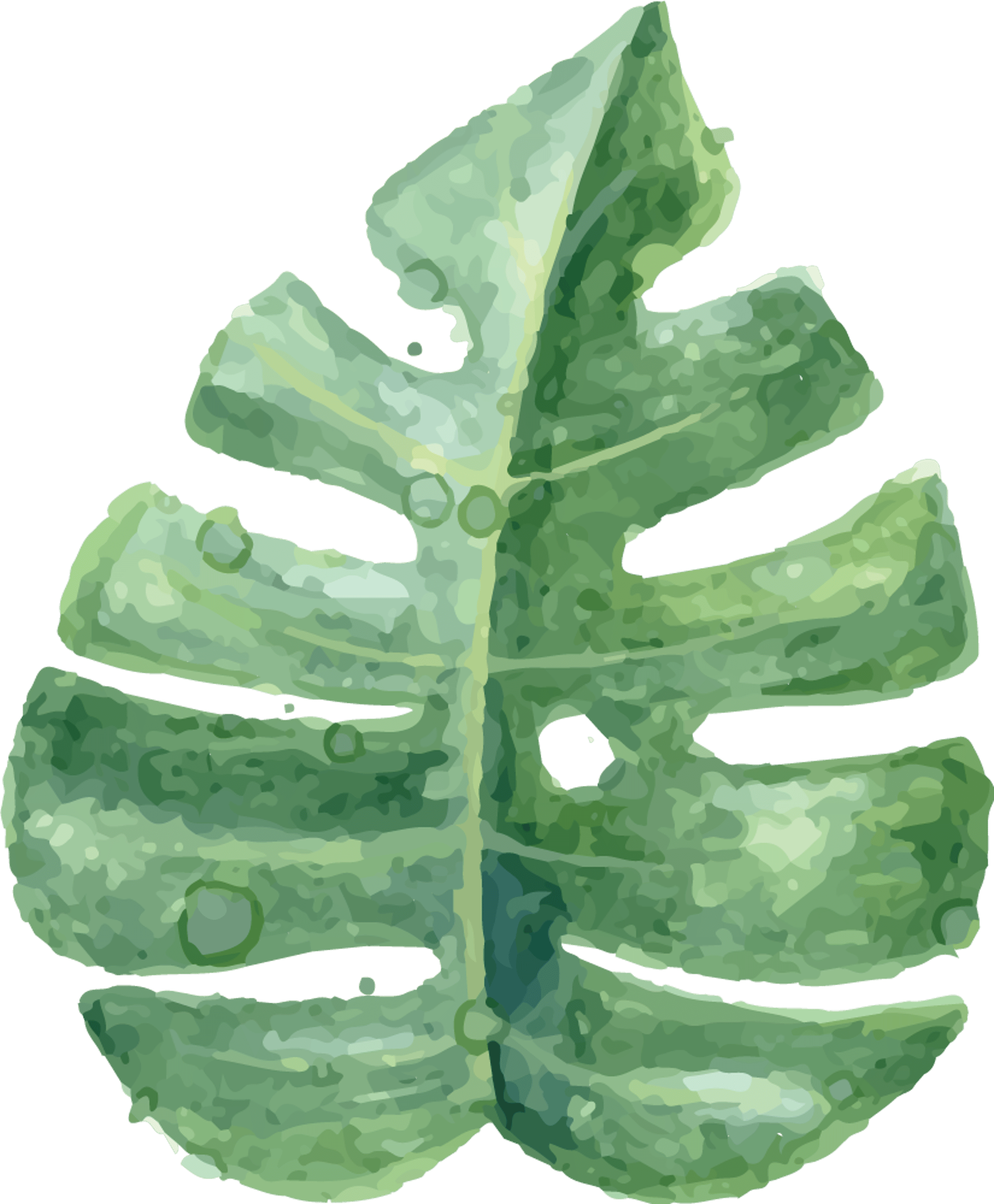Tropical Leaf