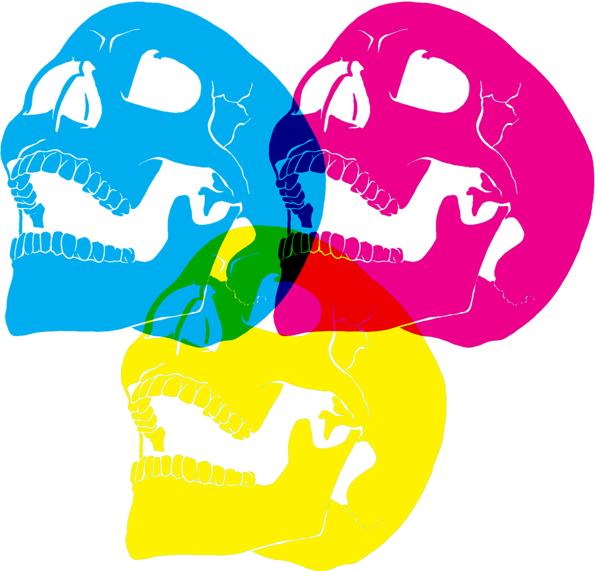 CMY Skull
