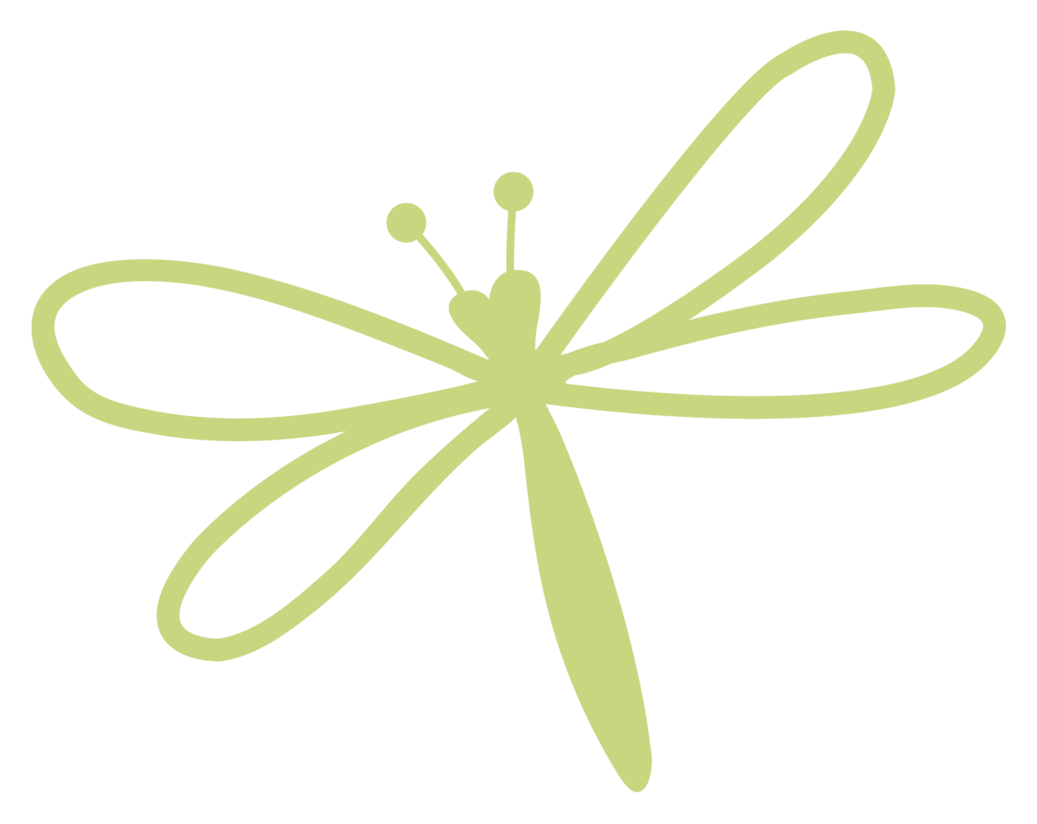 Green Line Dragonfly