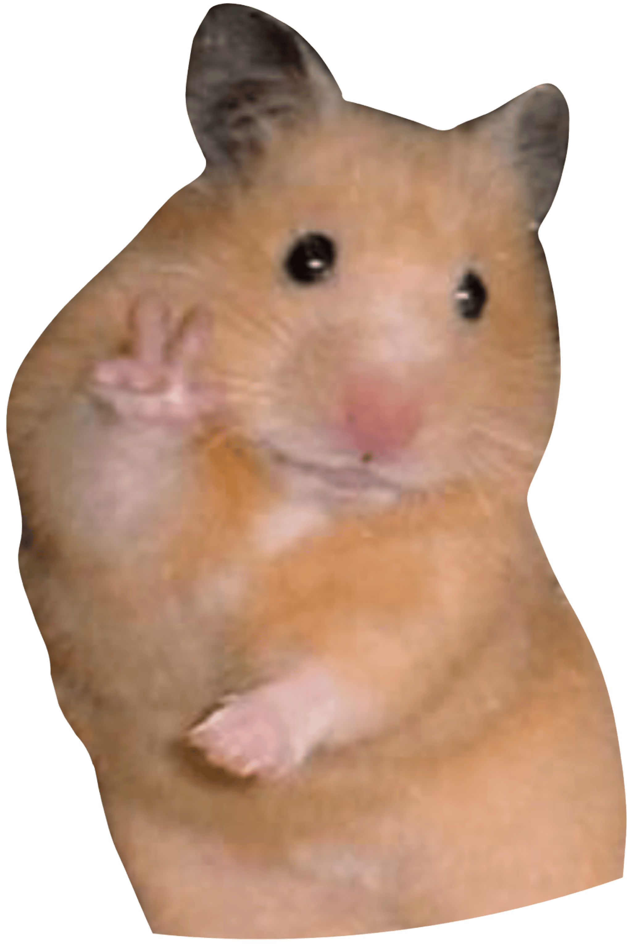 Hamster Peace Meme