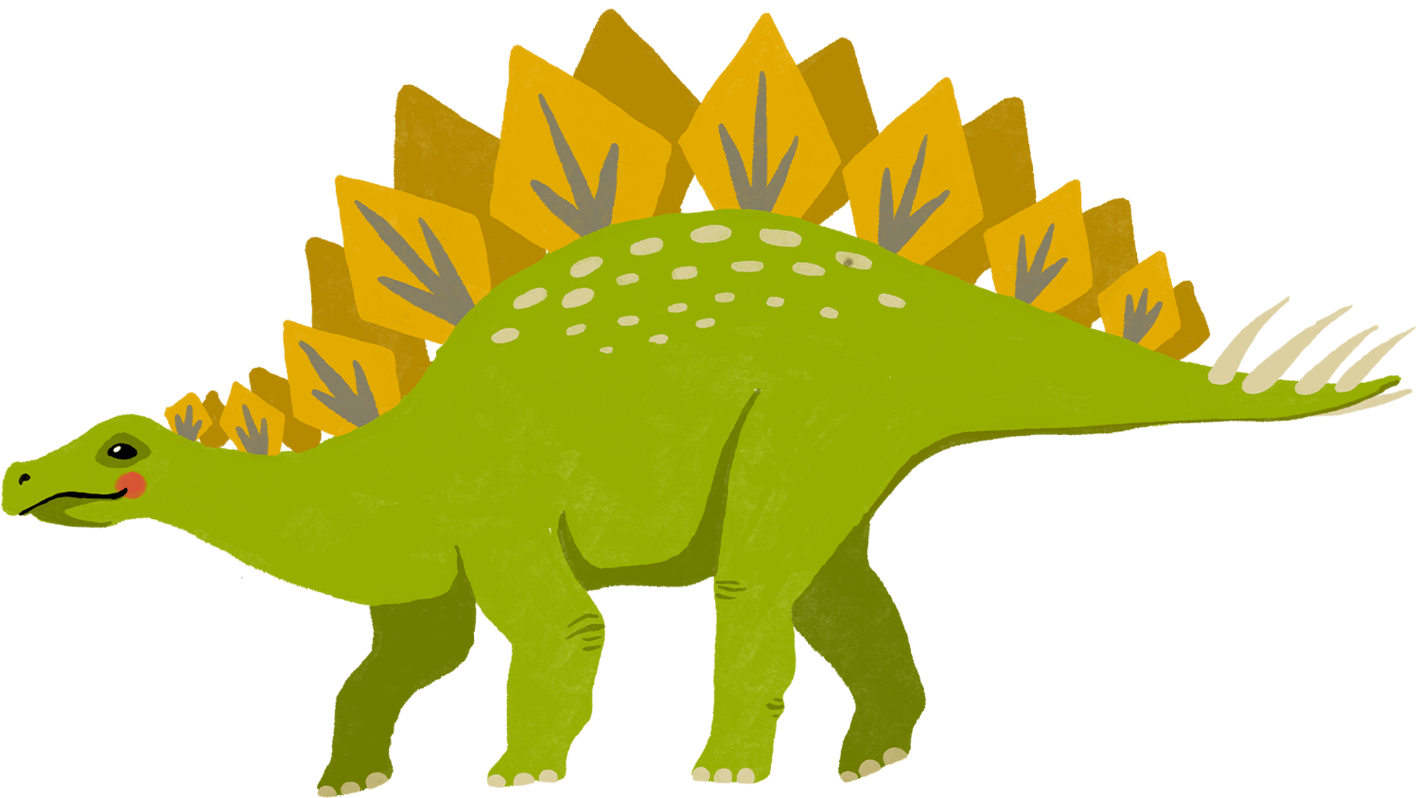 Stegosaurus