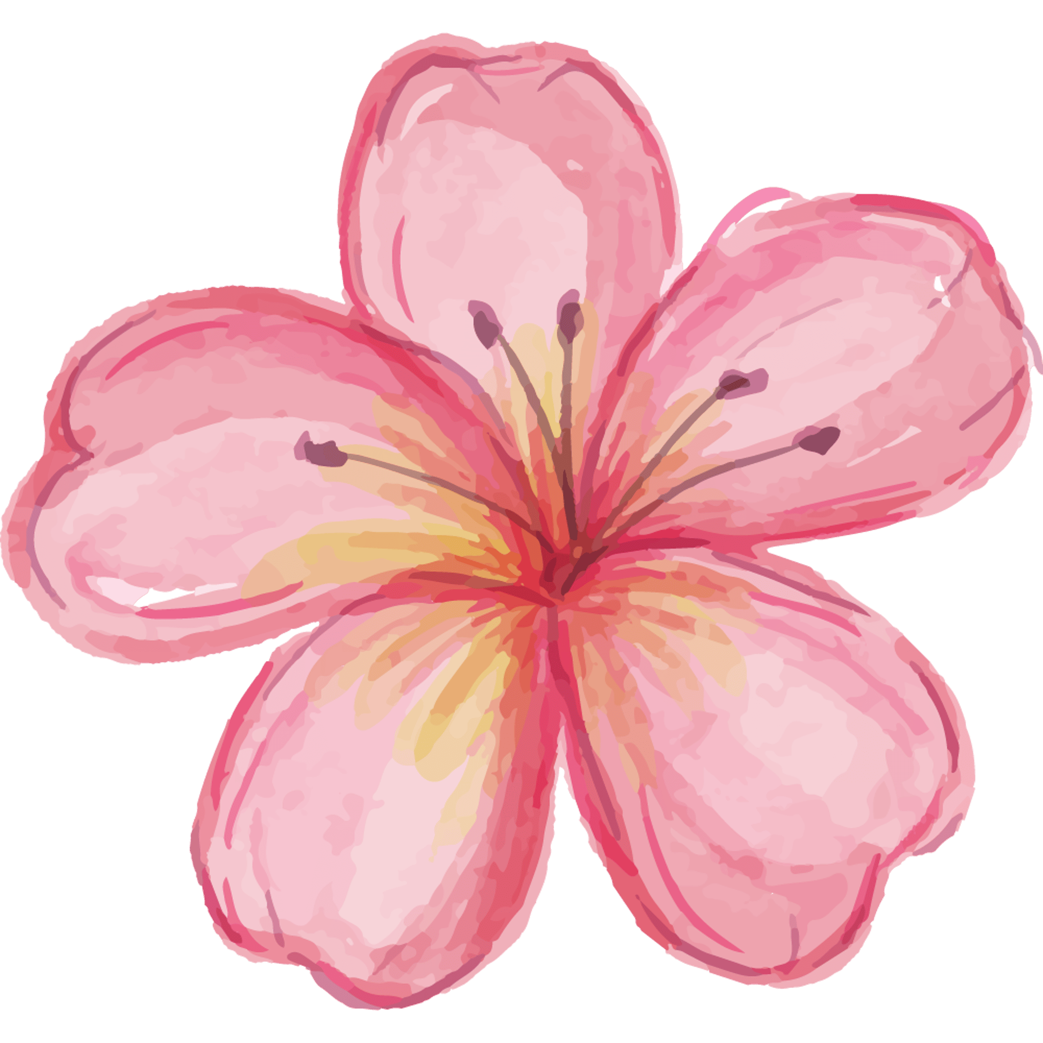 Pink Petal Flower