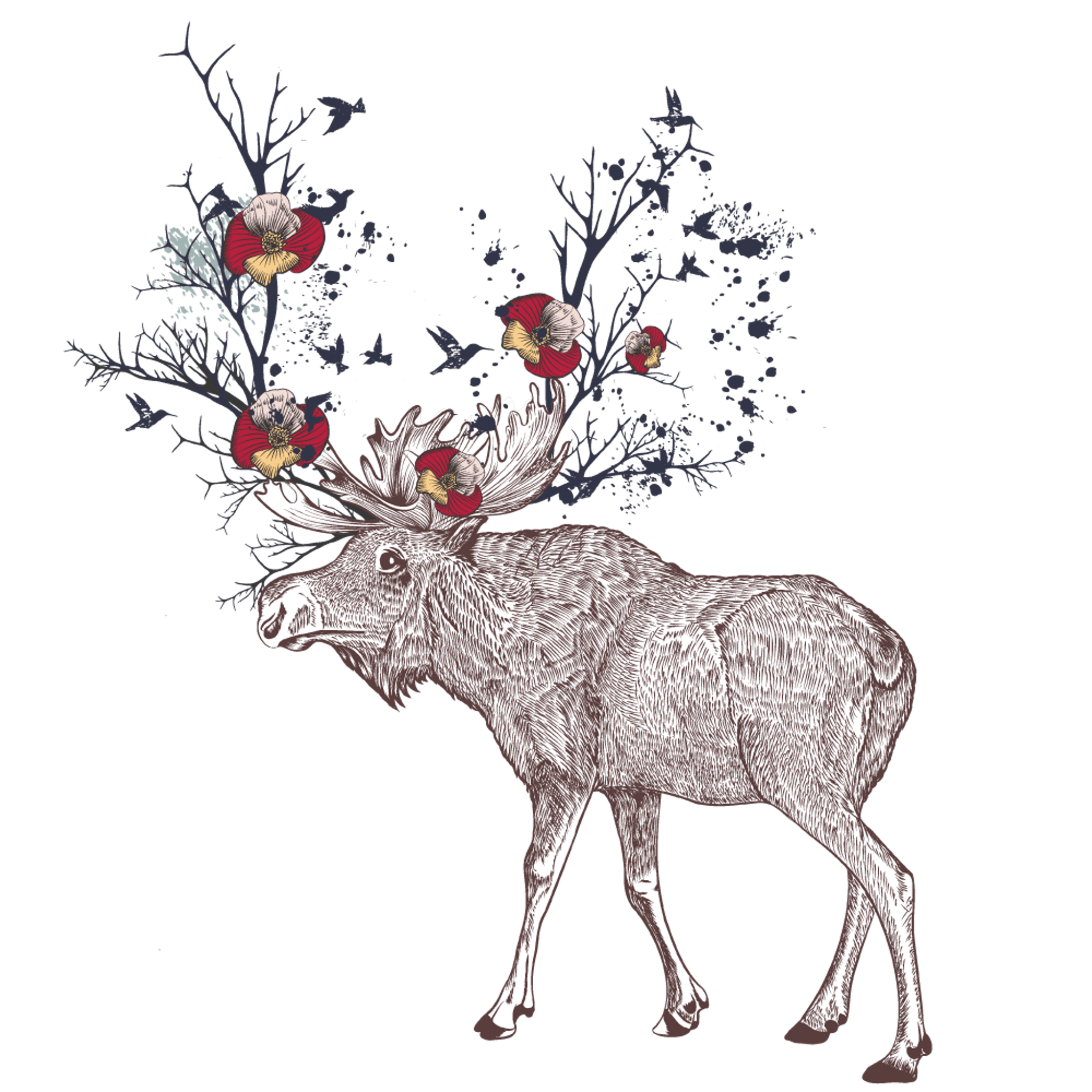 Decorative Moose Antlers