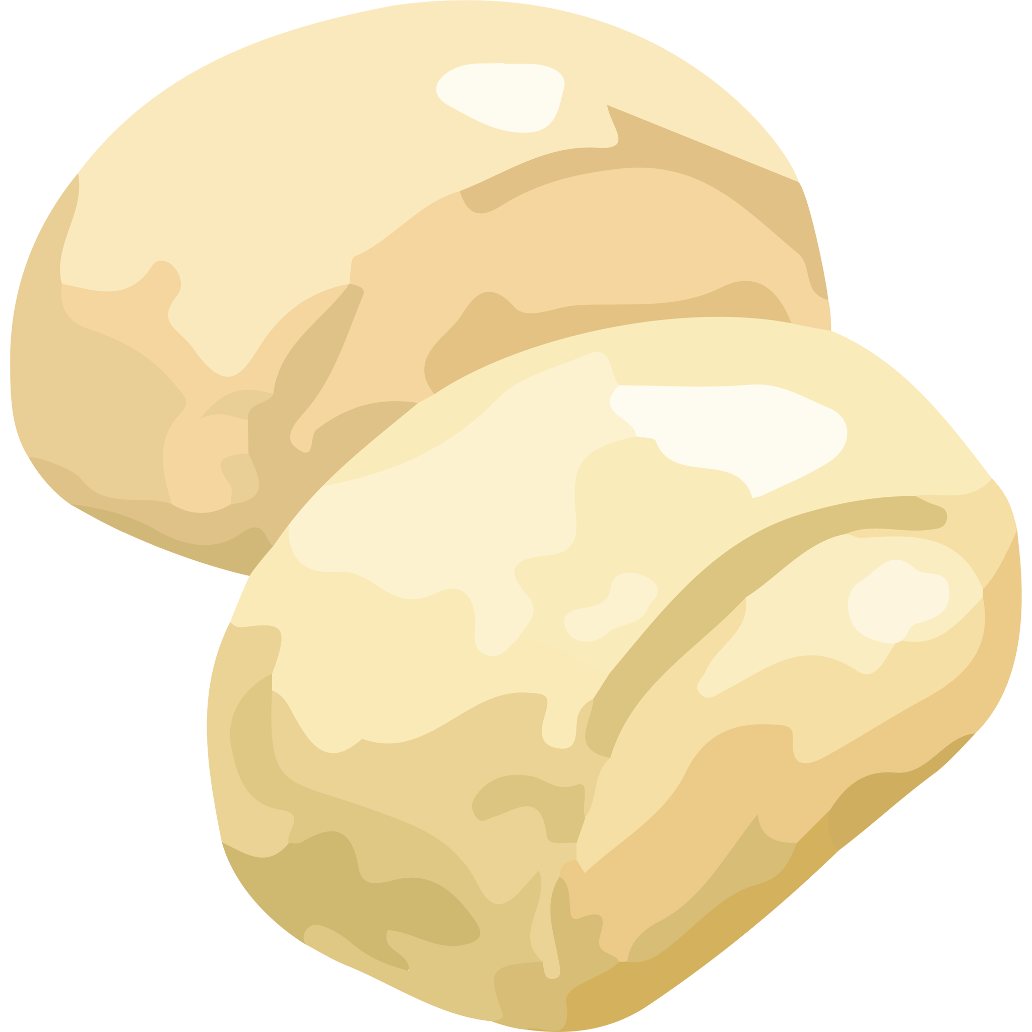 Bao