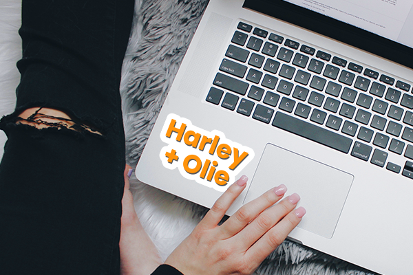 Die-cut sticker on a laptop