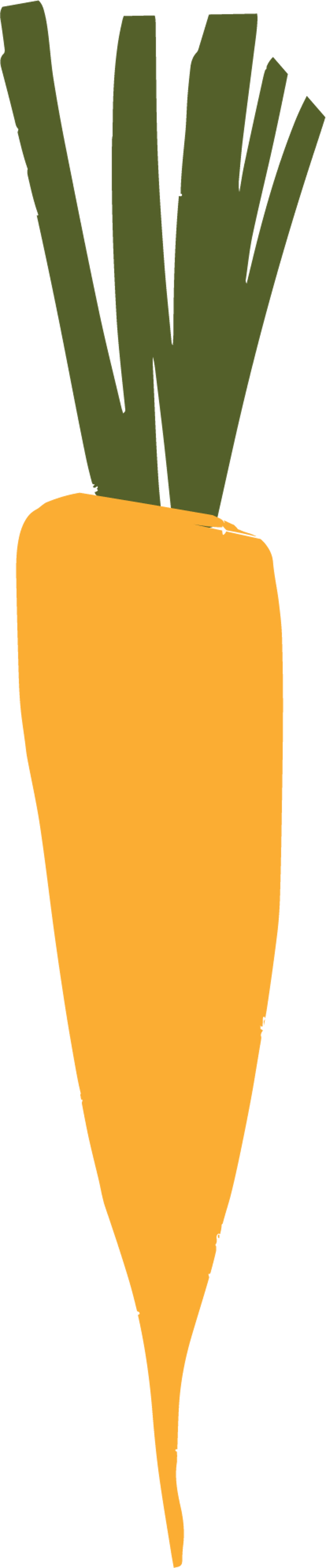 Carrot Style 3