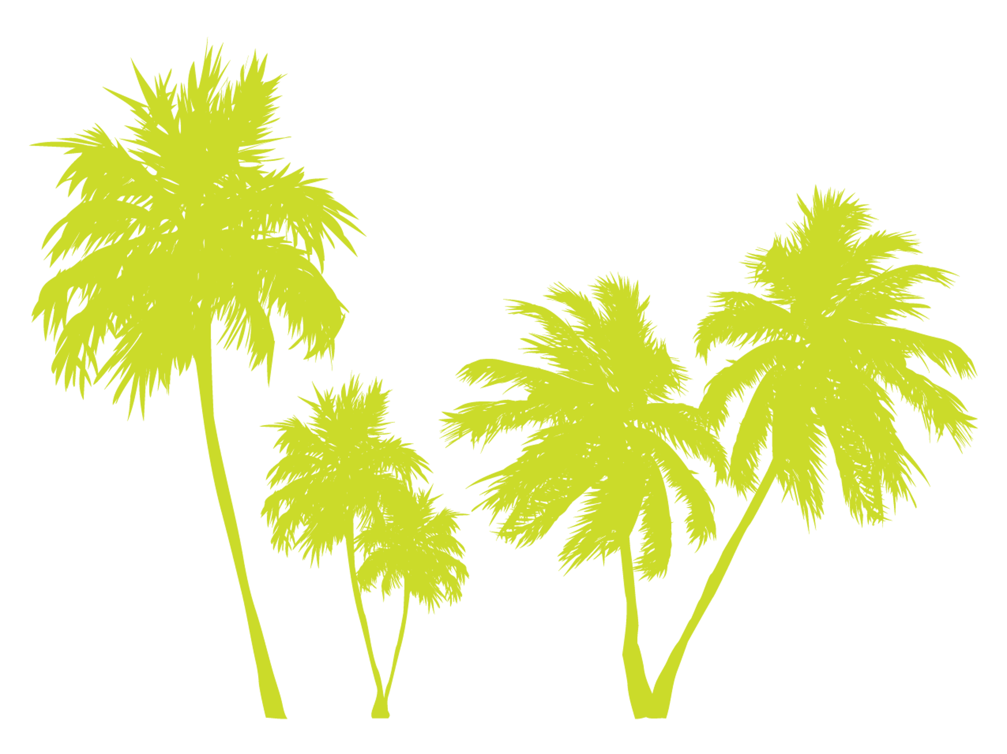 palmtrees