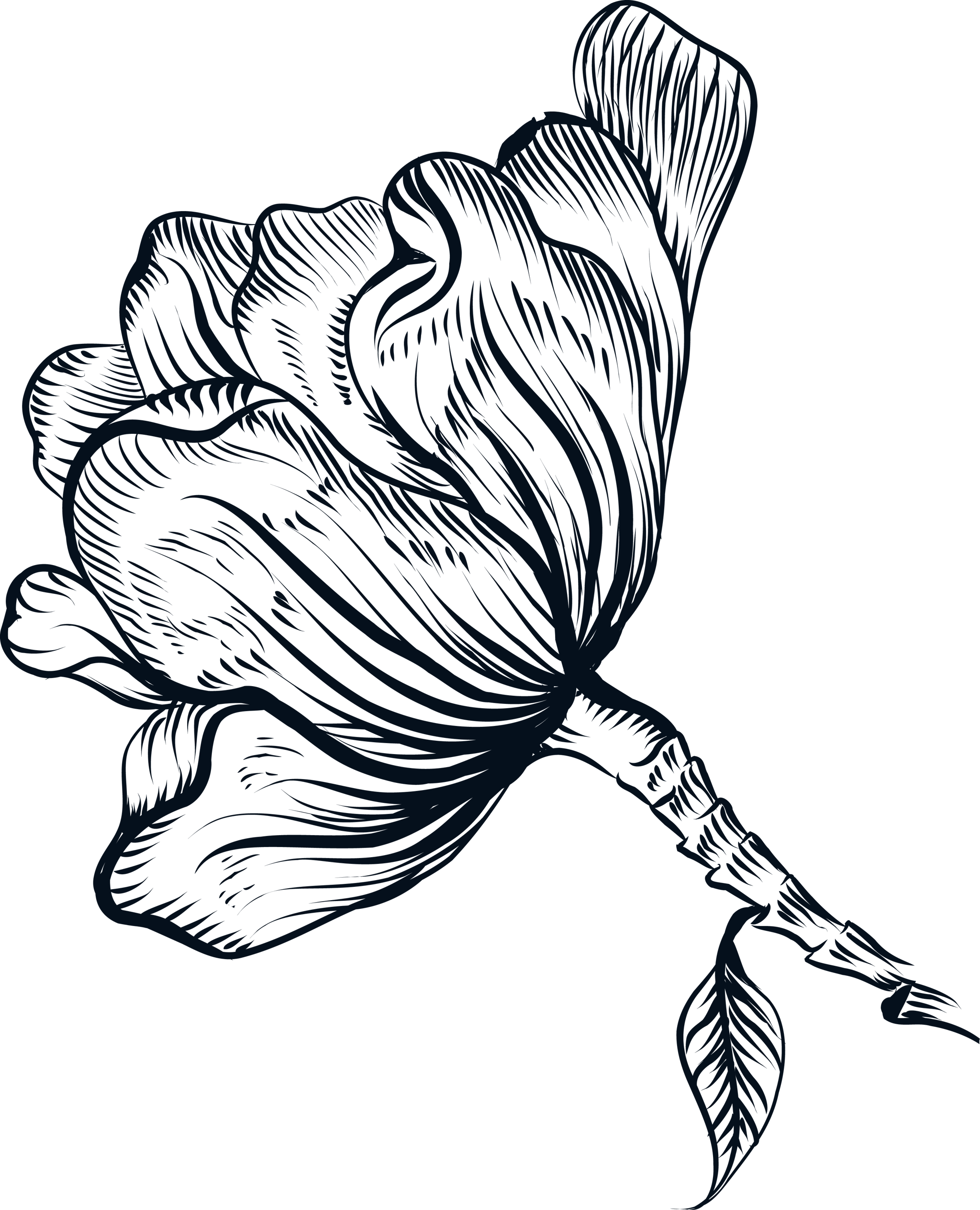 Ink Line Flower Side