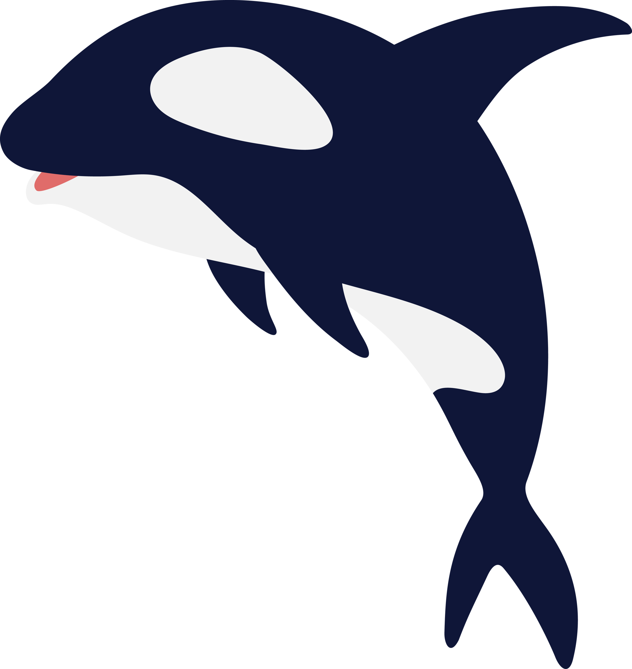 Orca