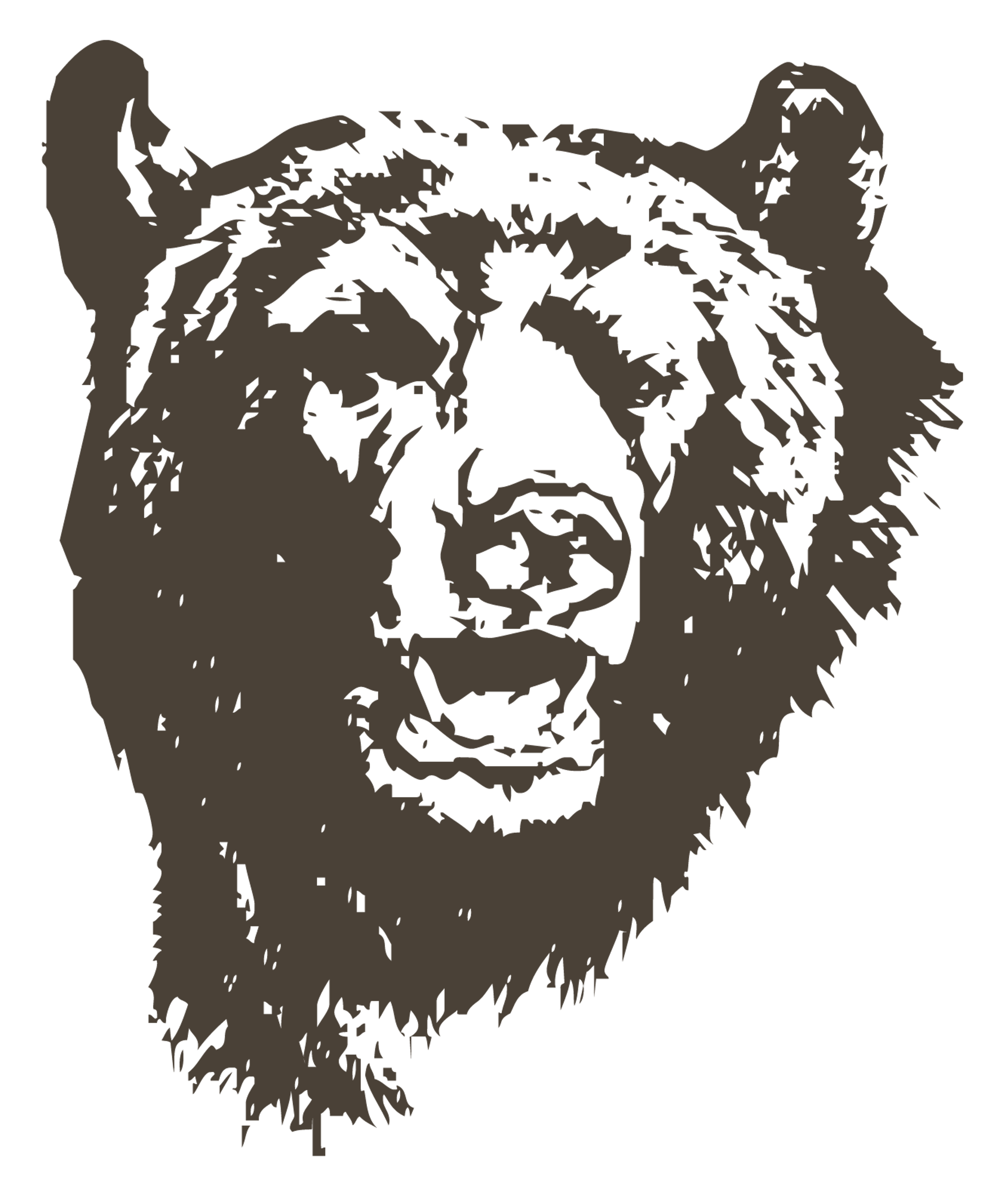 Bear Head Drawing