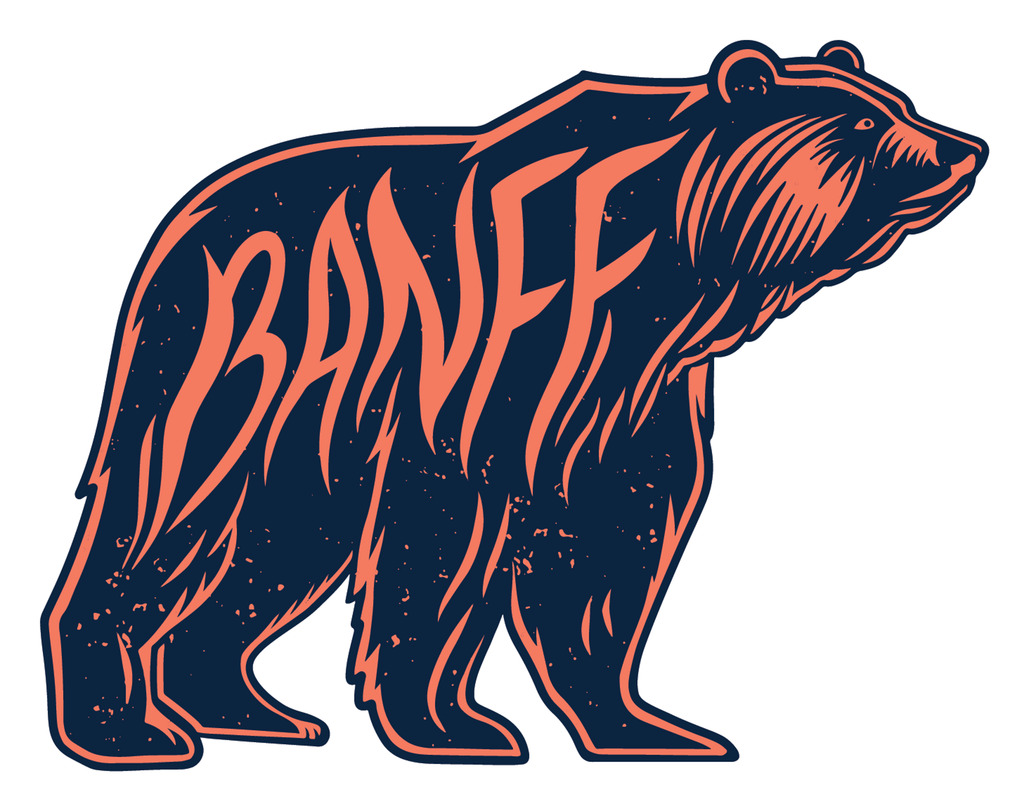 Banff Bear