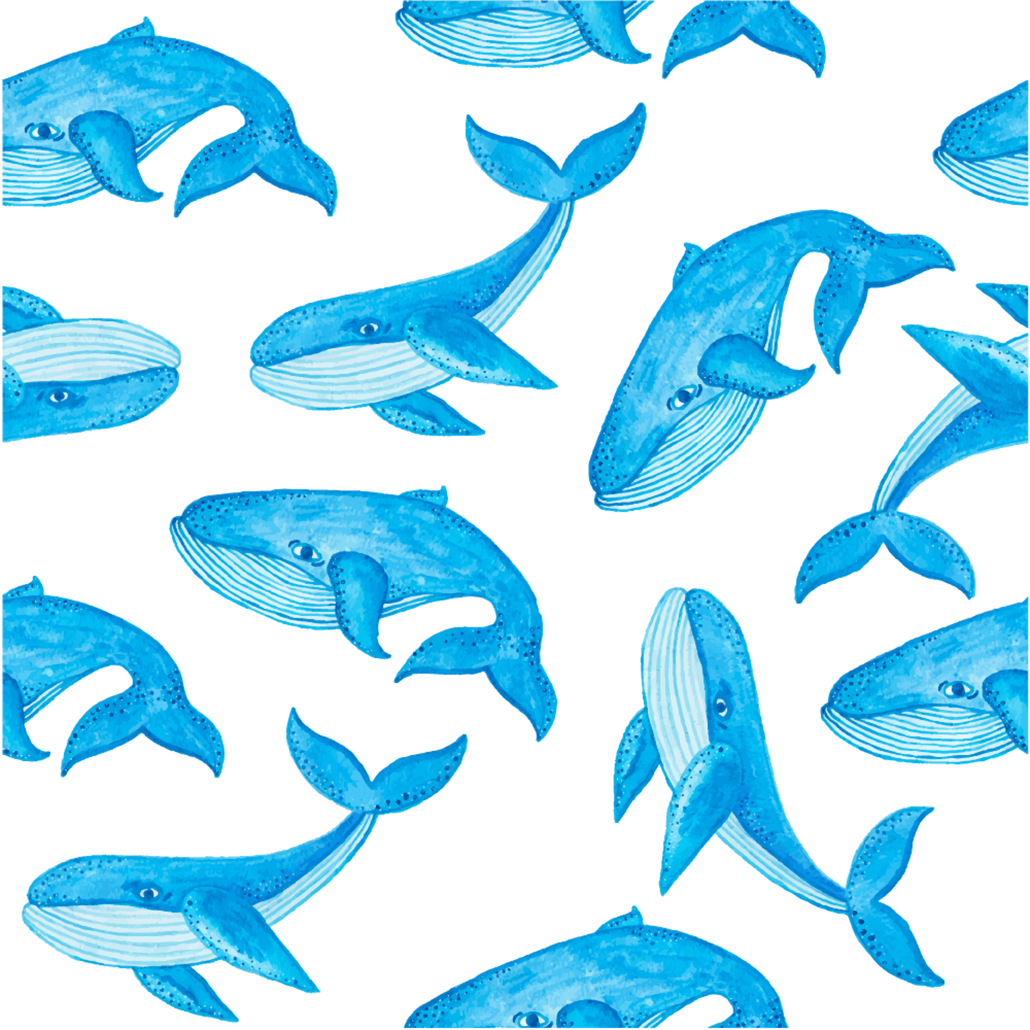 WhalePattern.png