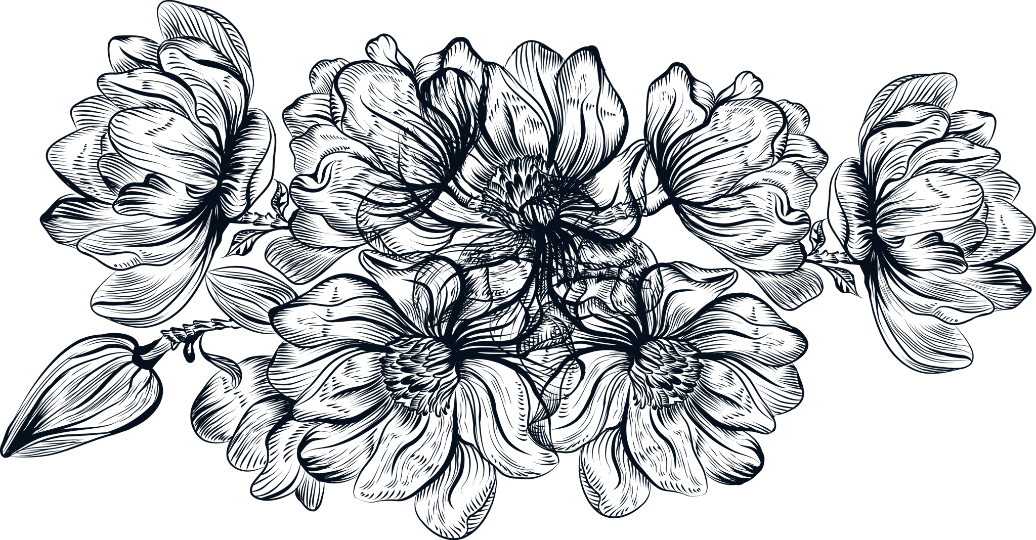 Ink Line Flower Group