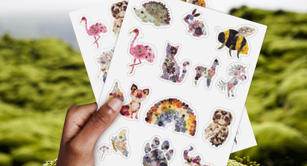 Stick with a common theme or element