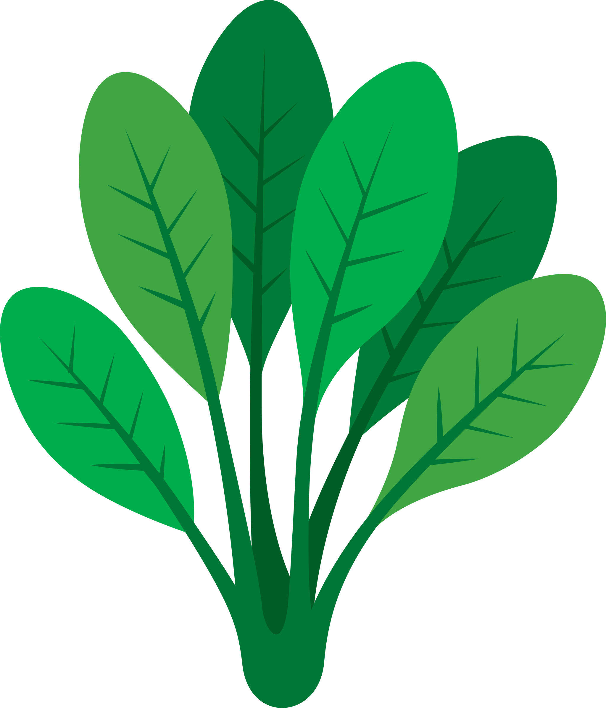 Lettuce Leafs 2