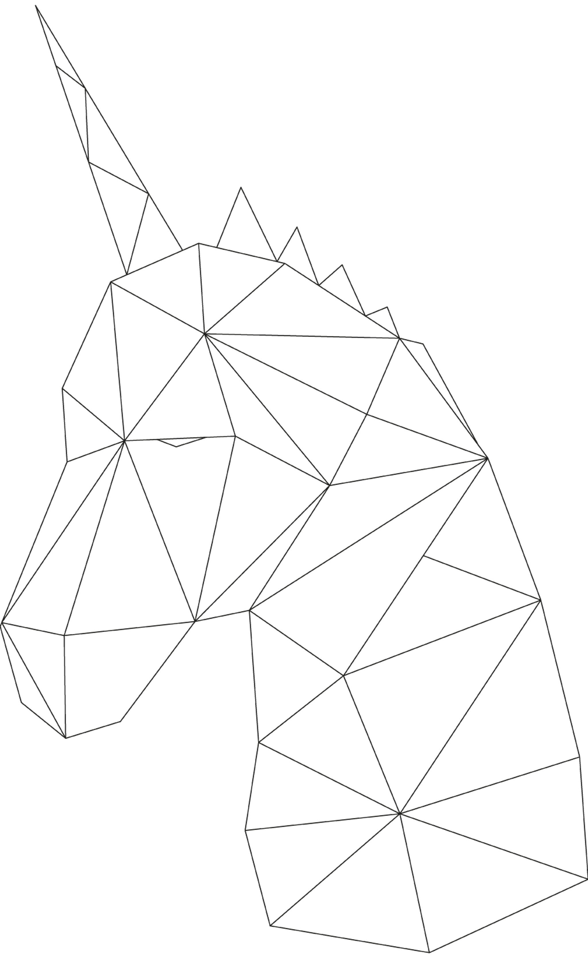 Geometric Unicorn