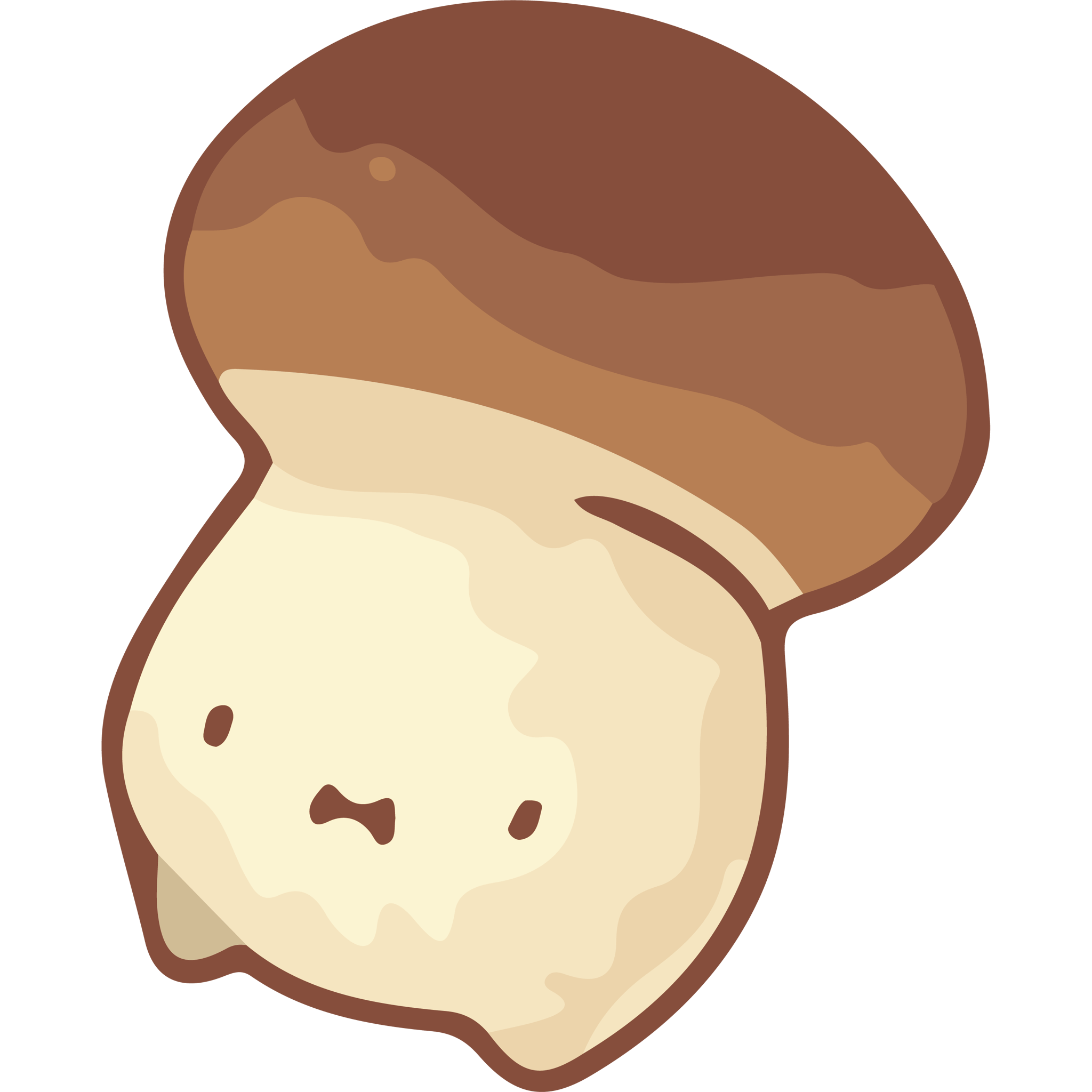 Kawaii King Bolete